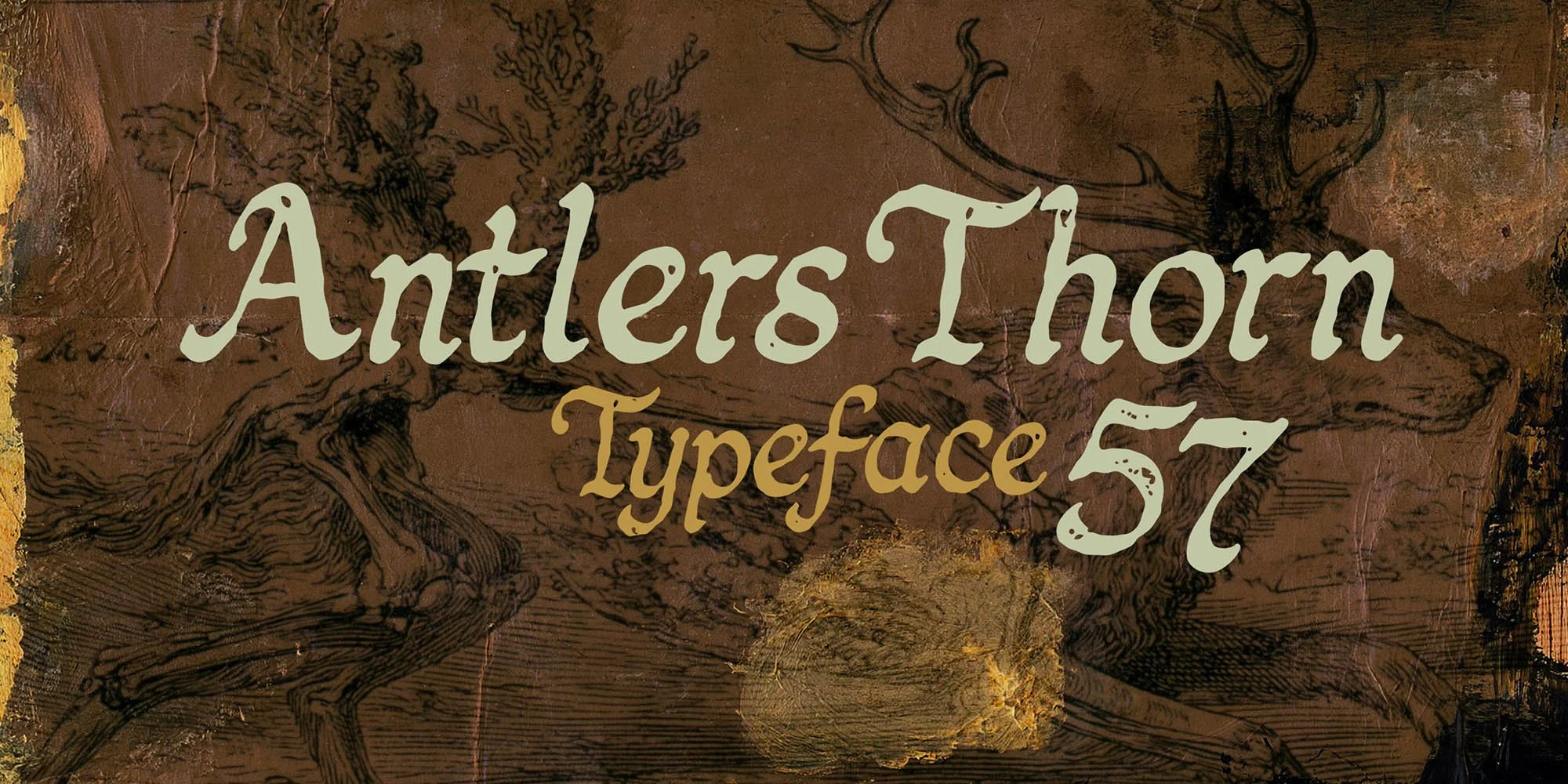 Antlers Thorn (Download)