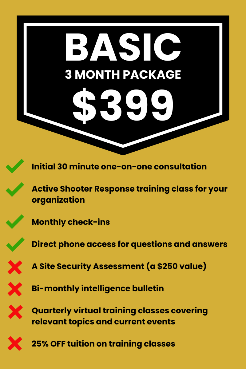 Basic 3-Month Consulting Package