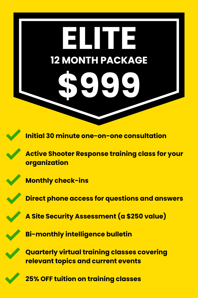 Elite 12-Month Consulting Package