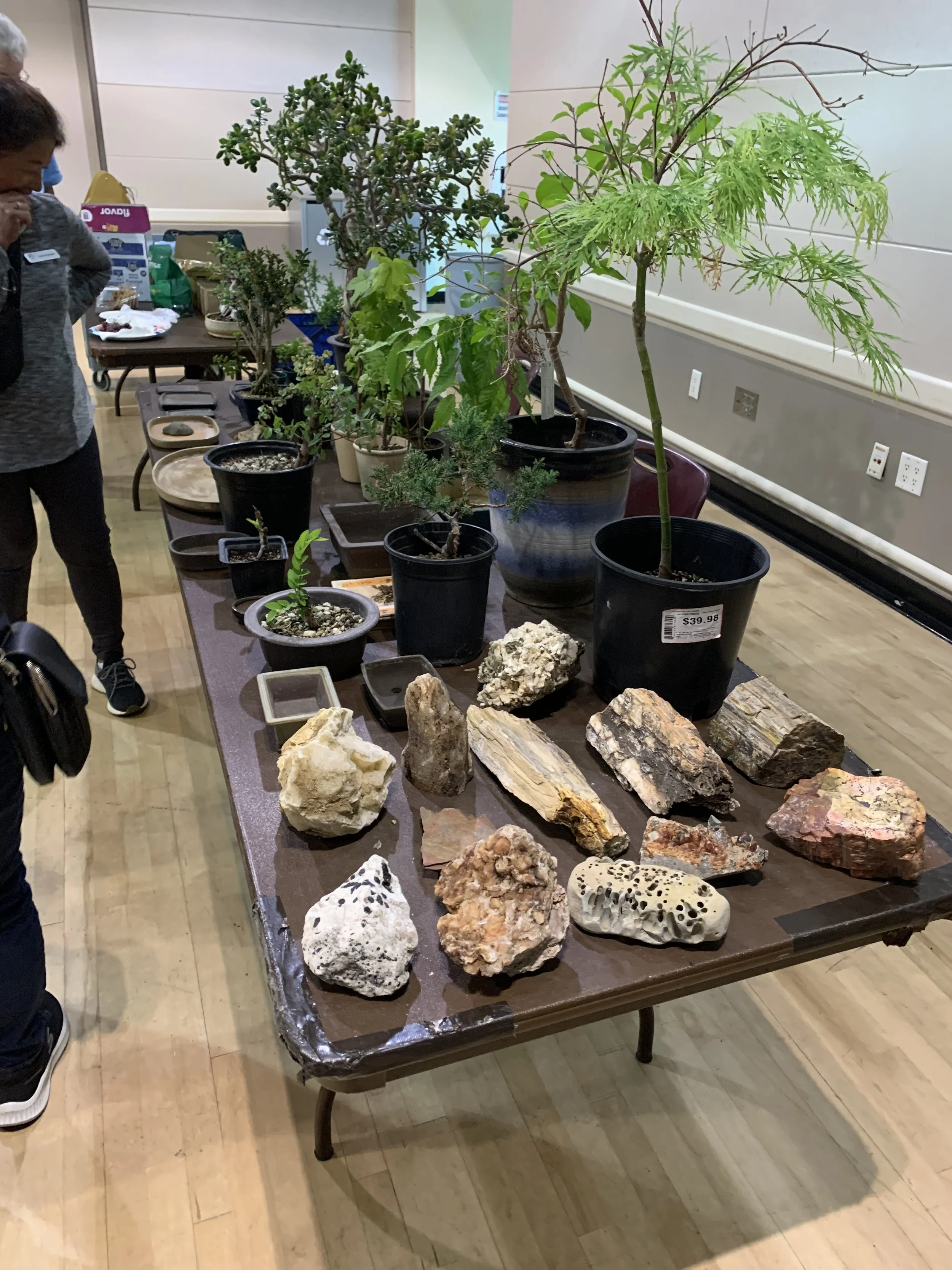 November Club Meeting