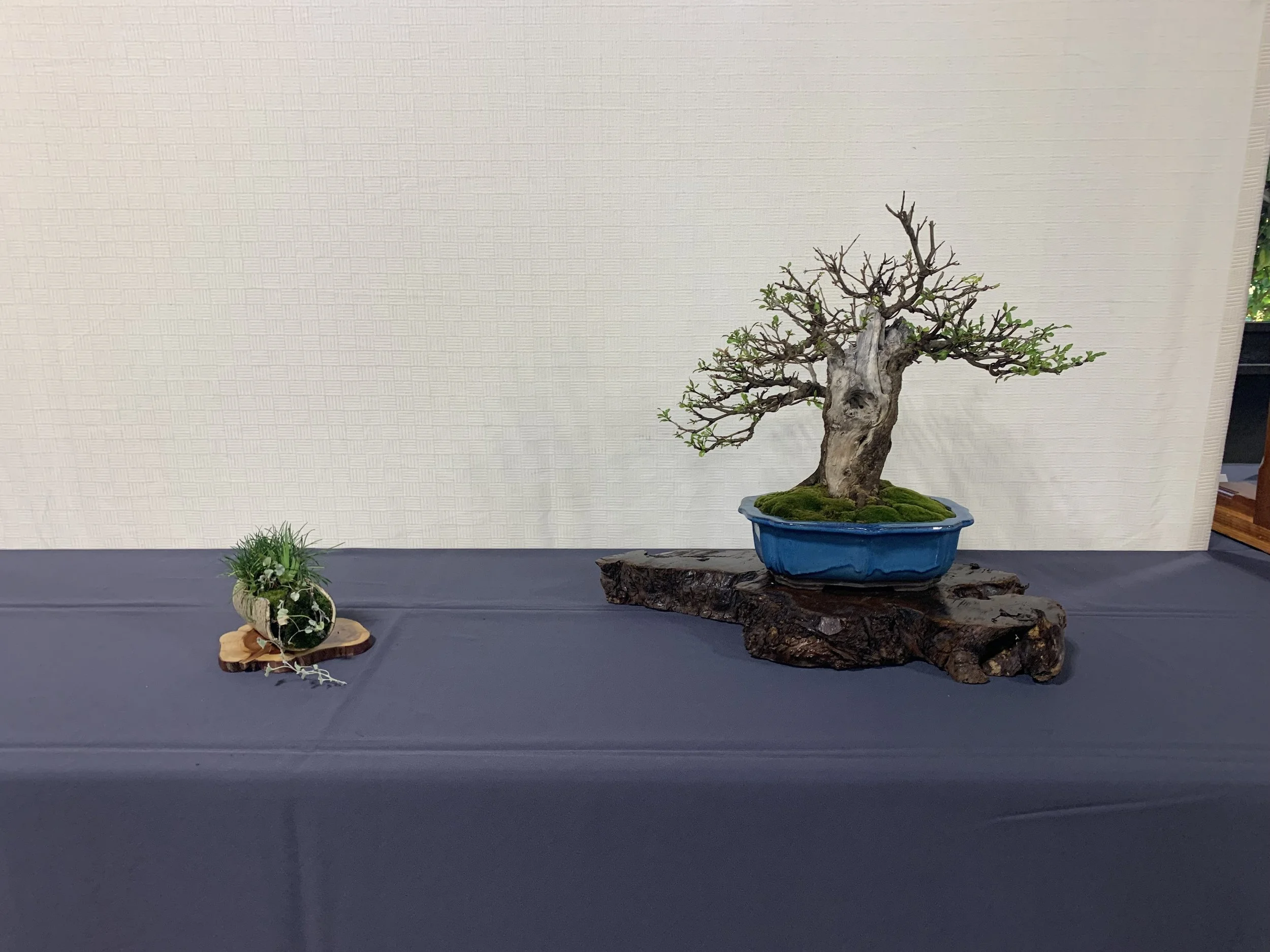 July Club Meeting