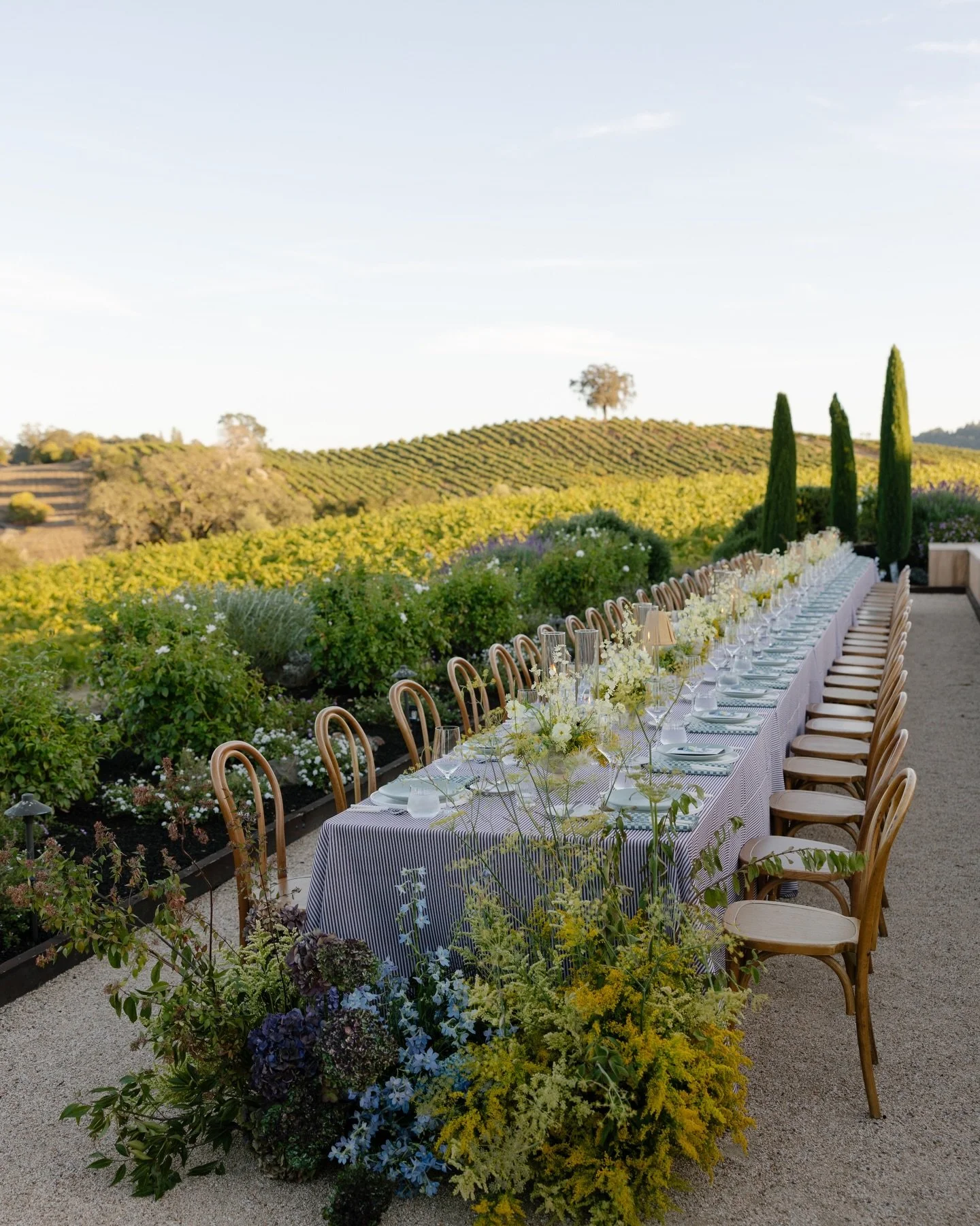 Rooted in Healdsburg&rsquo;s textured landscape &mdash; rolling vineyards, golden honeyed light, stone + wood in effortless dialogue. A neutral foundation set the tone, while curated strokes of color introduced an editorial edge. Striped + checkered 