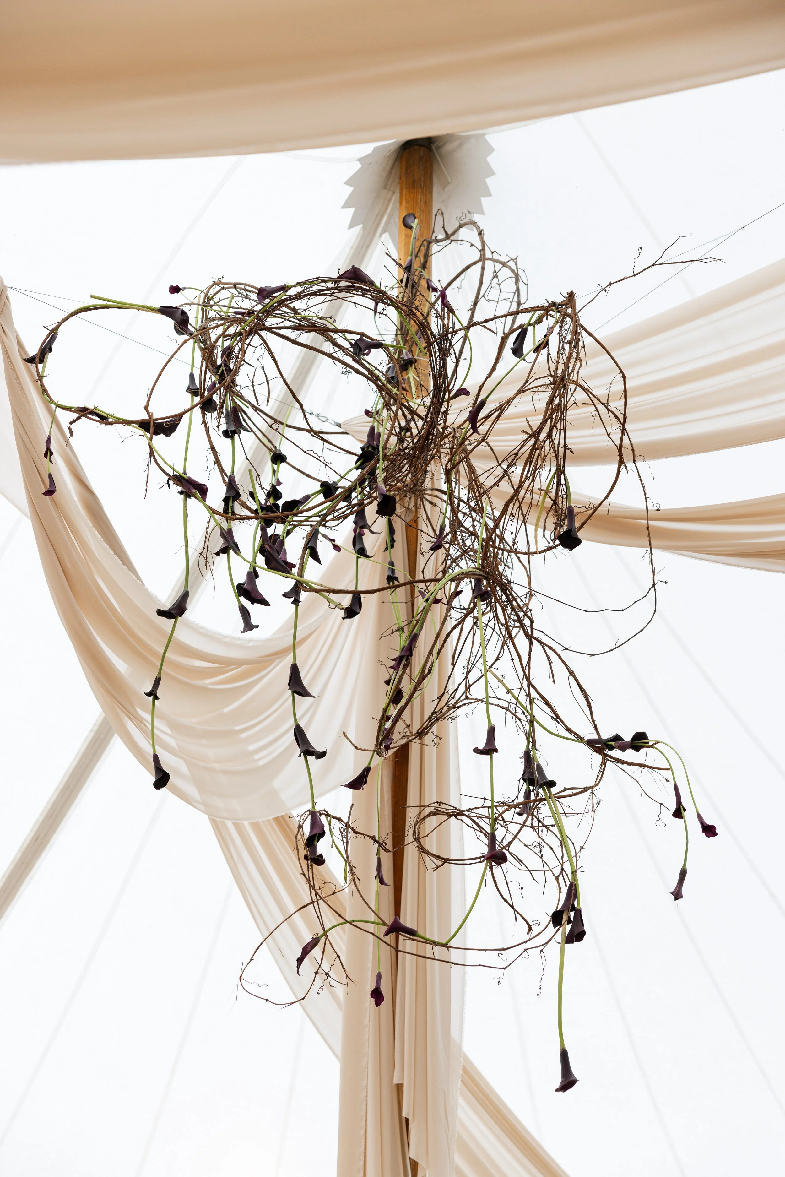 Anaandwill newenglandwedding Berkshirewedding TheChesterwood-78.jpg