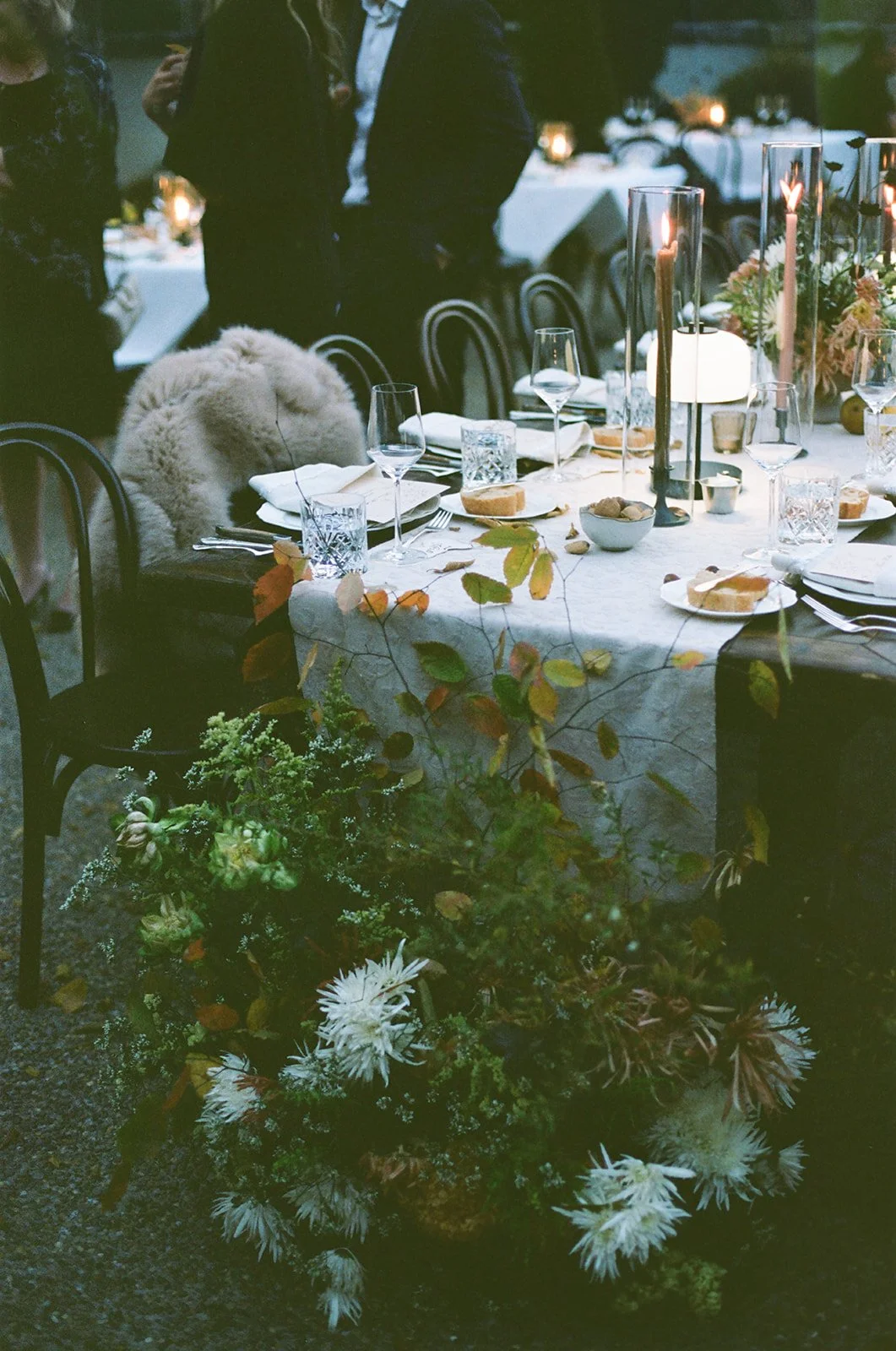 film (168 of 319).jpg