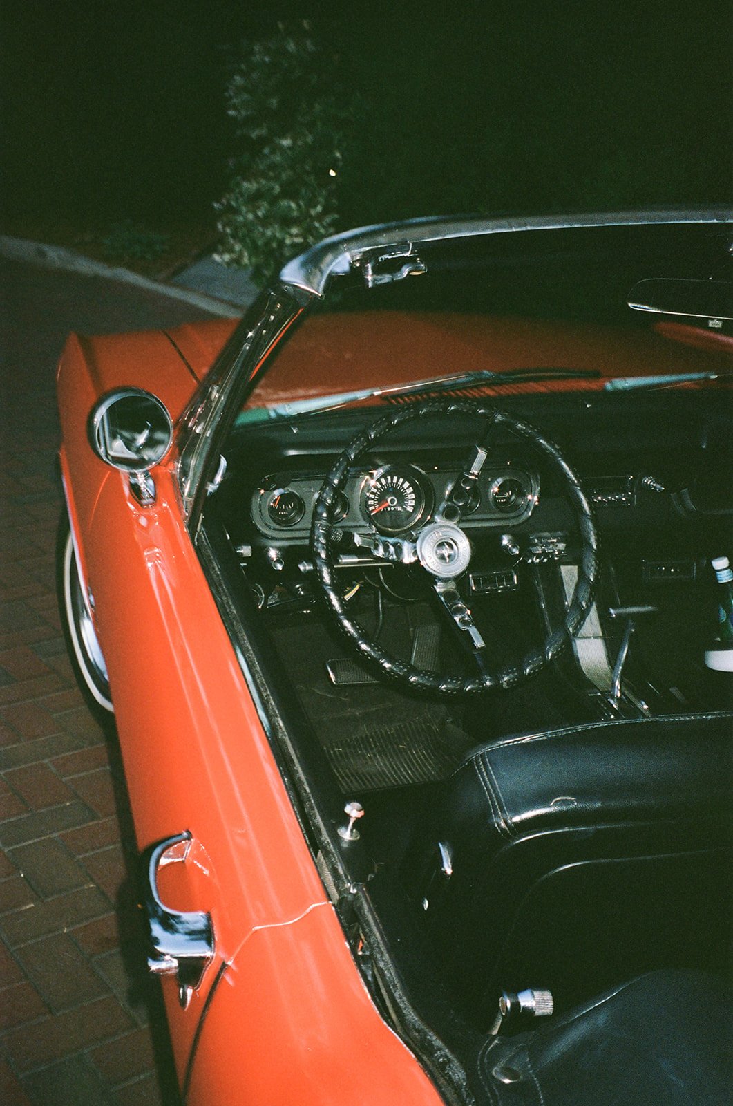 35 mm film (112 of 303).jpeg