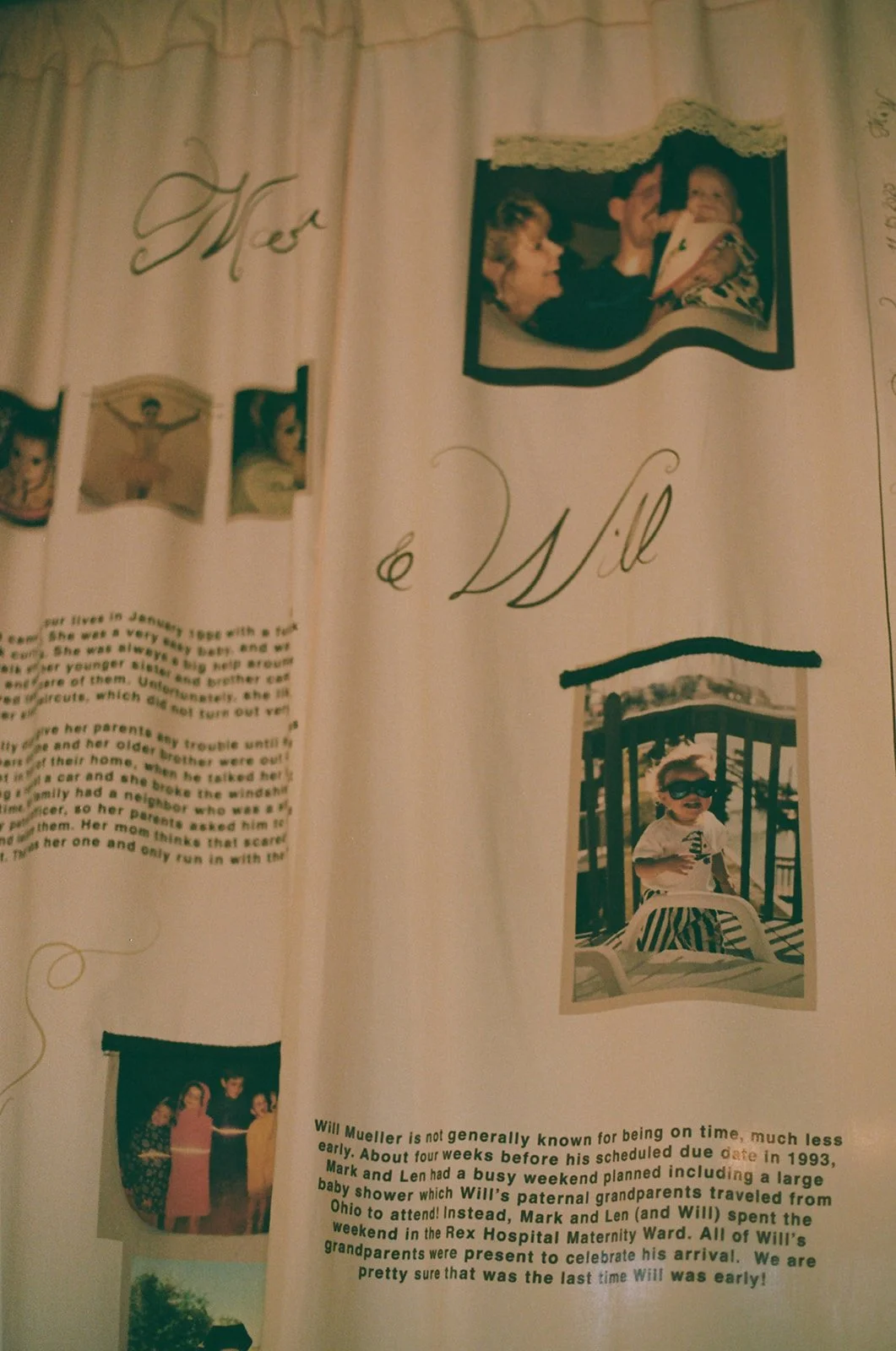 film (288 of 319).jpg