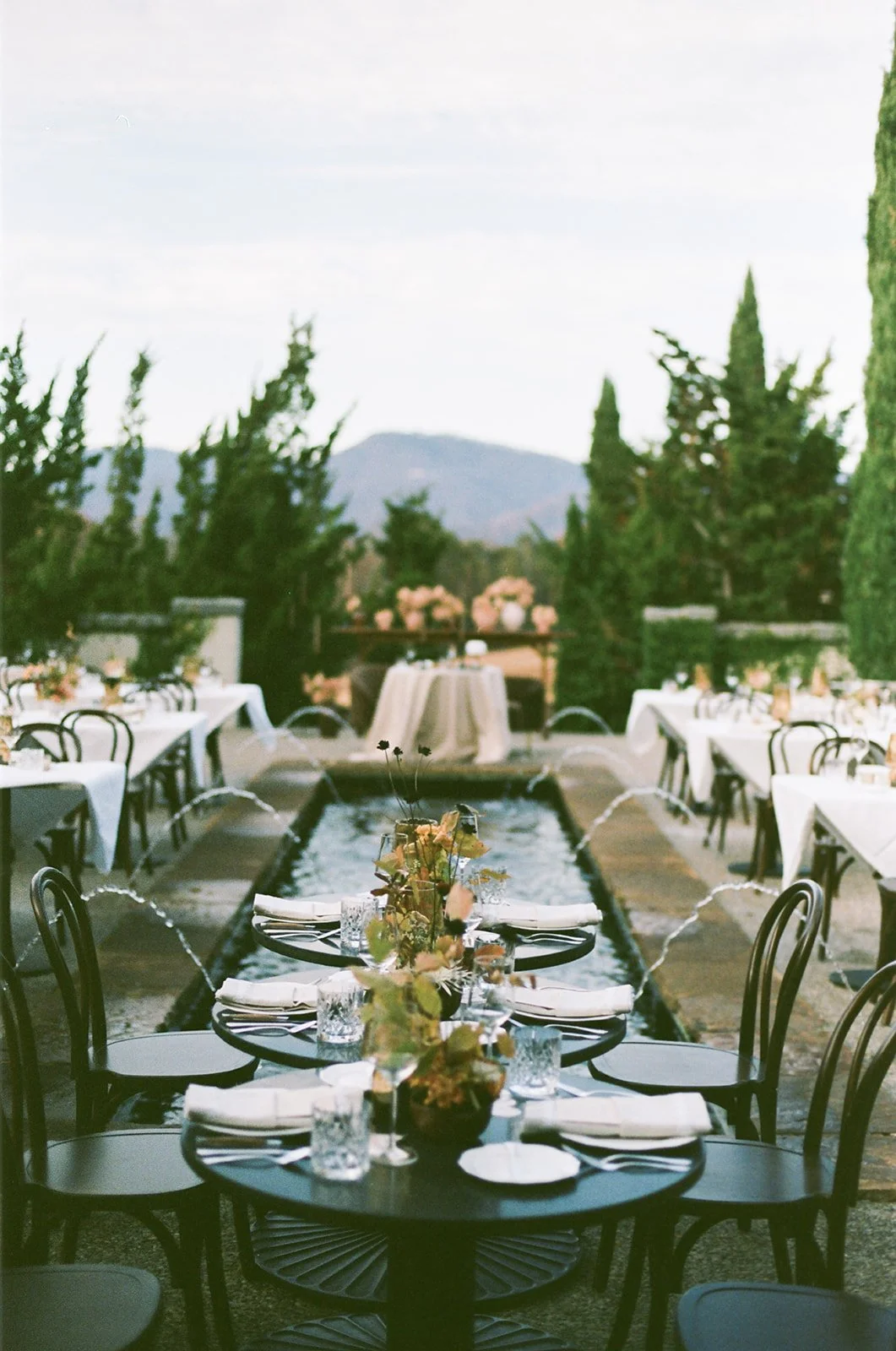 film (101 of 319).jpg