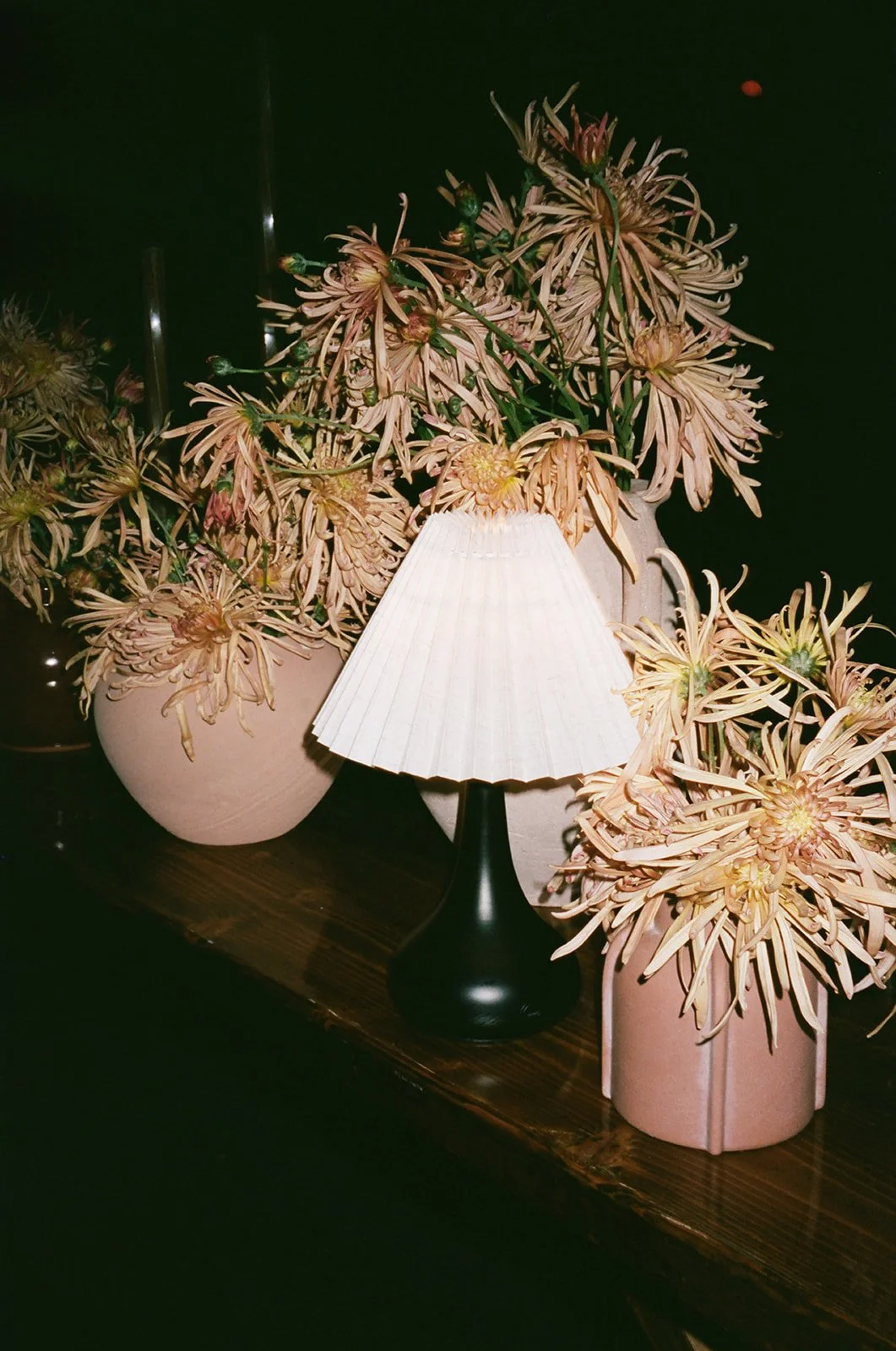 film (237 of 319).jpg