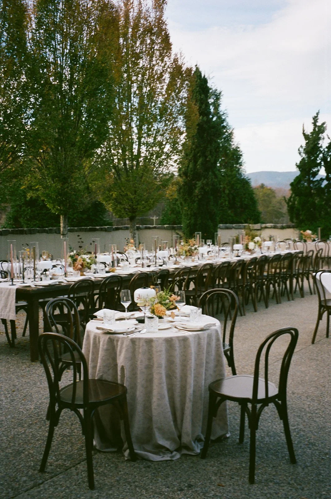 film (148 of 319).jpg