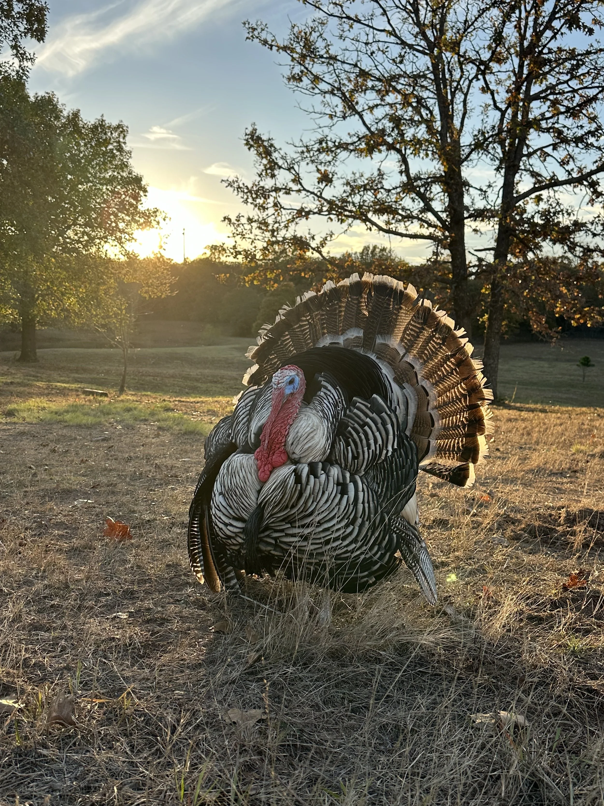 Oklahoma Homestead Rendezvous - Paparazzi Services Example