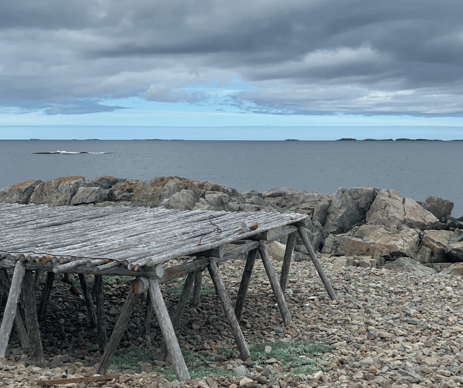 Newfoundland Skincare: Discover the Power of Climate Adapted Botanicals Through Ritual