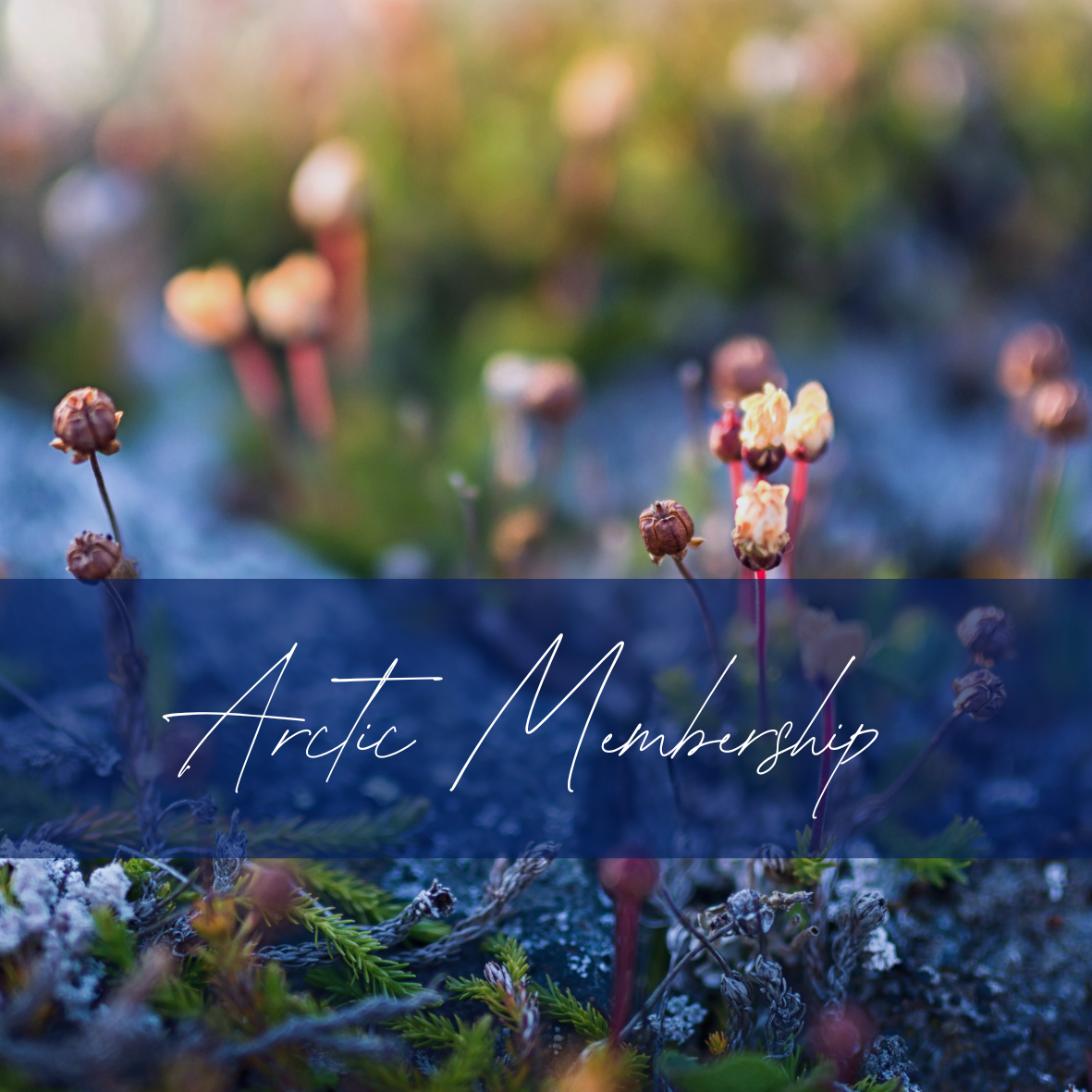 Untitled (Square Sticker).png