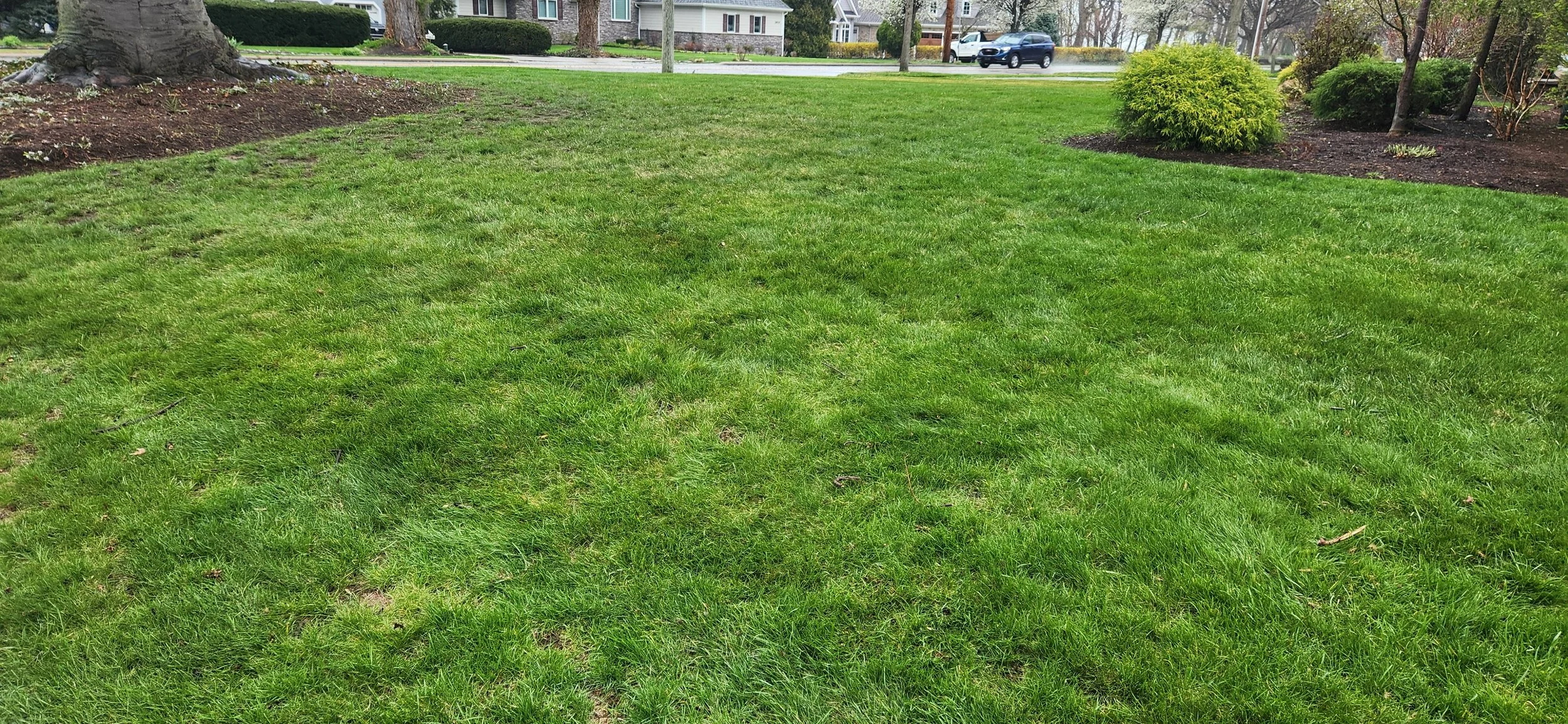Clean residential landscape receiving proactive lawn and bed care