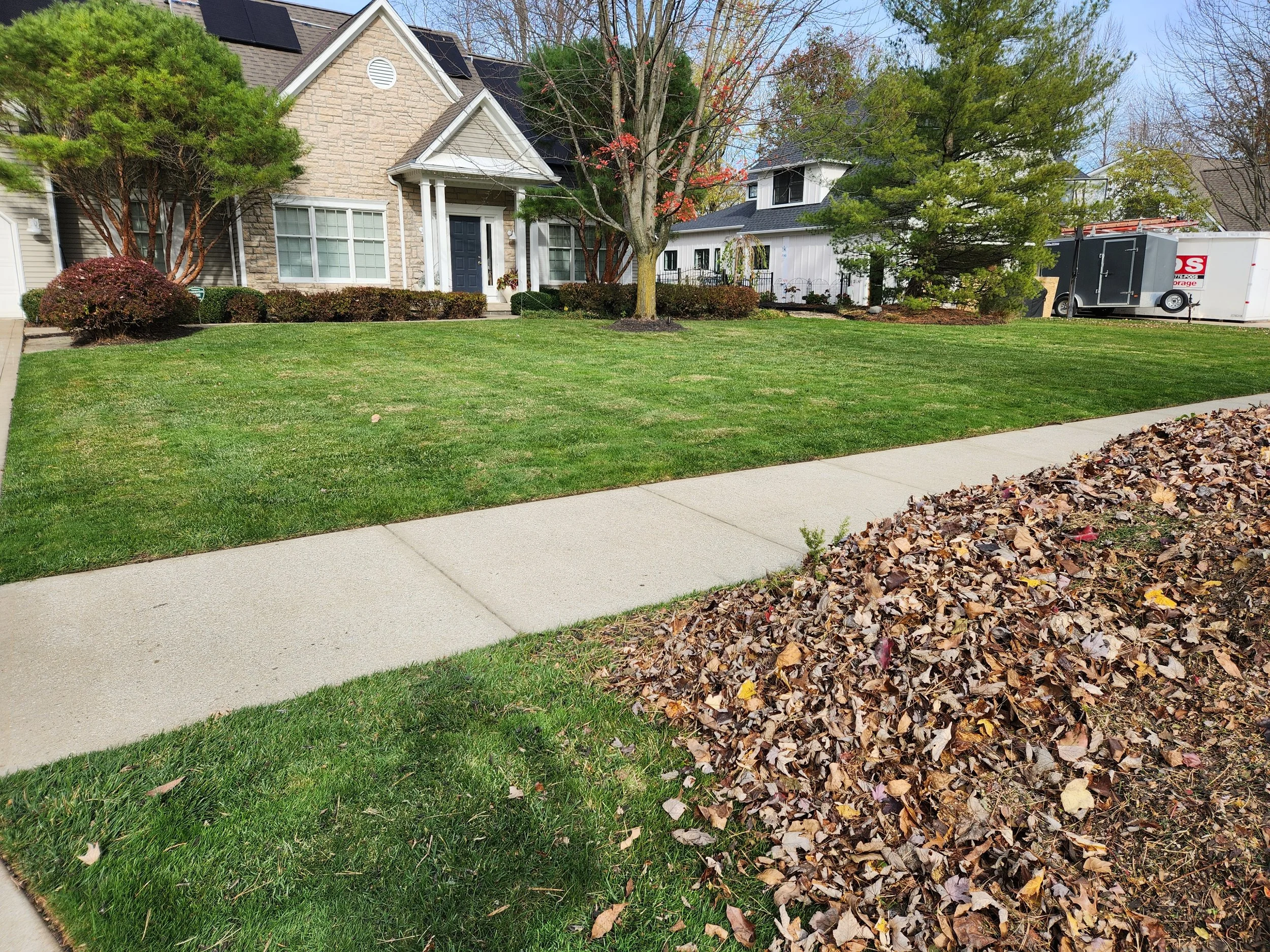 Residential lawn after King Cut seasonal leaf cleanup and turf cleaning