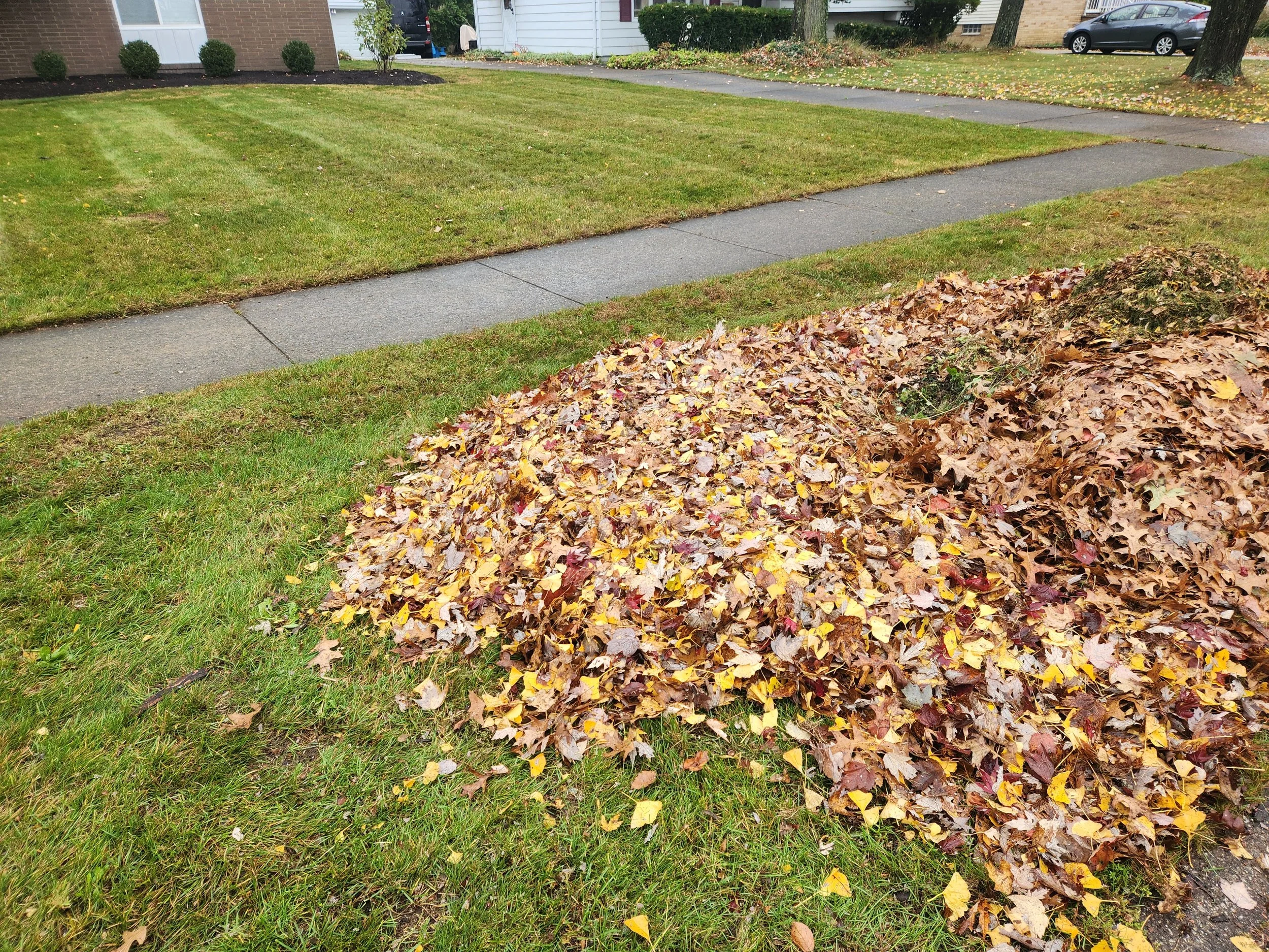 Residential lawn after seasonal leaf cleanup by King Cut Lawn Care