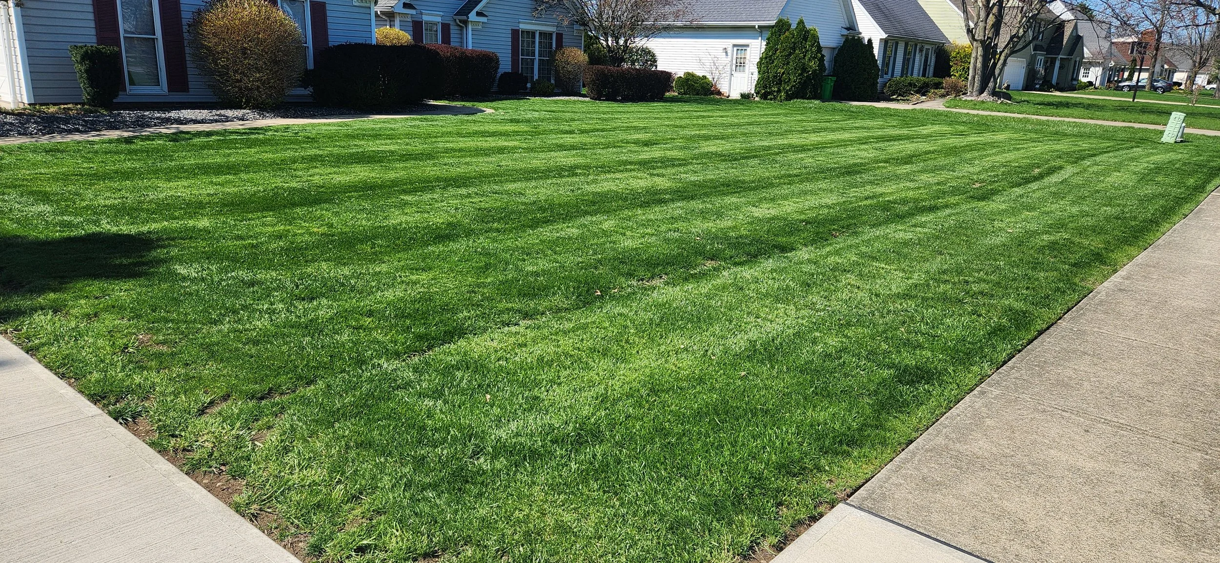 Maintained residential lawn receiving ongoing Yearly Yard Package care