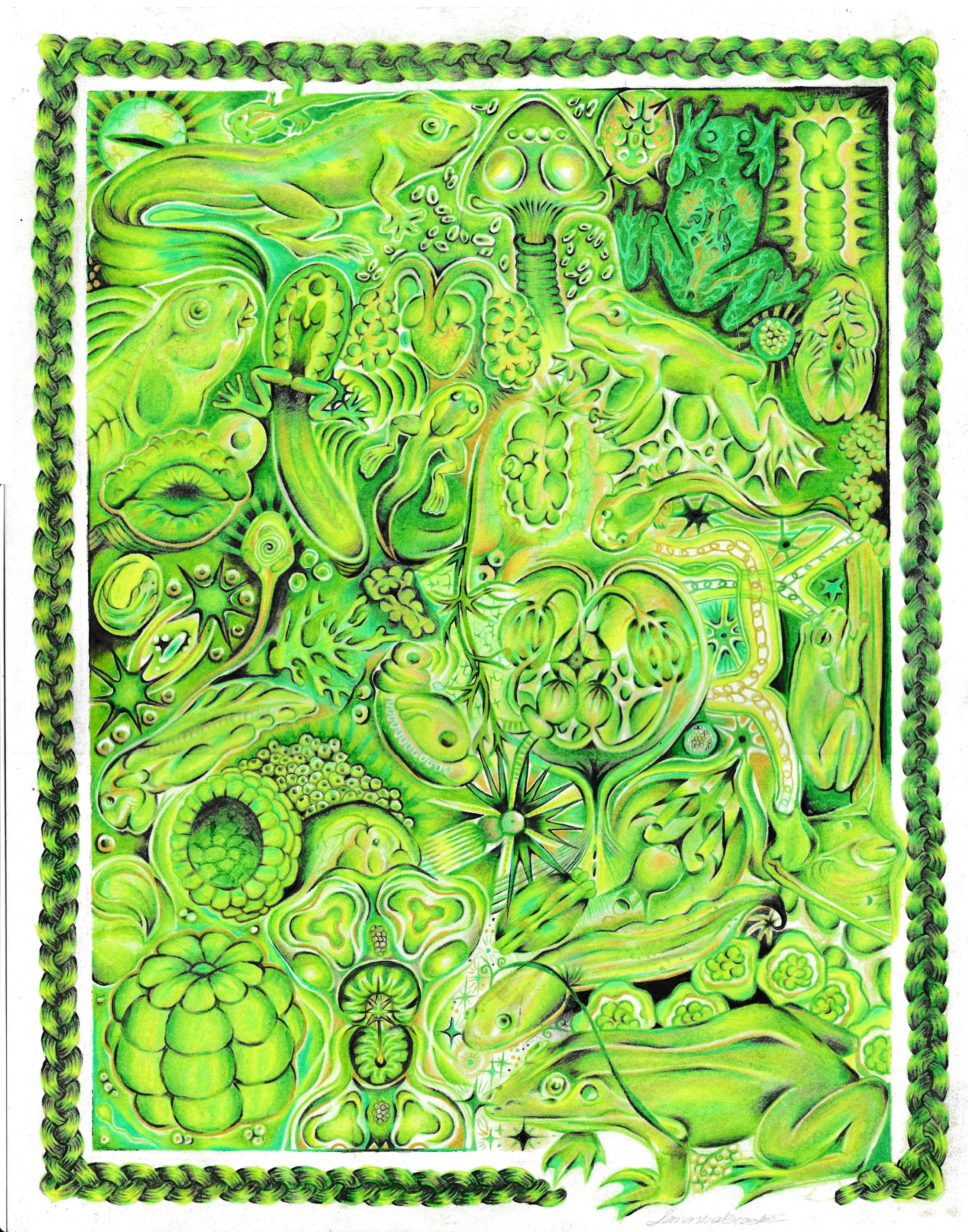 frog print