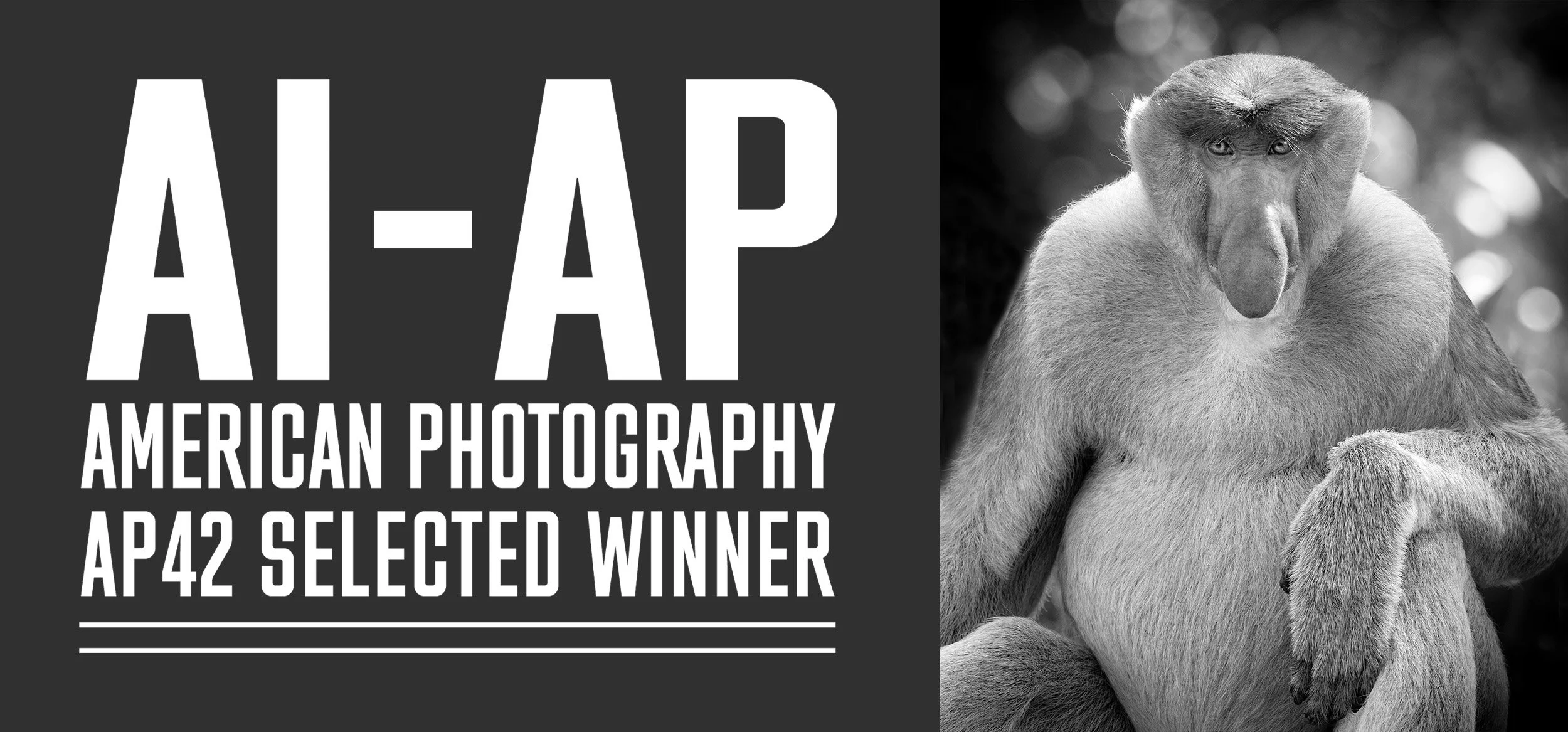 AP42 selected opening Proboscis.jpg