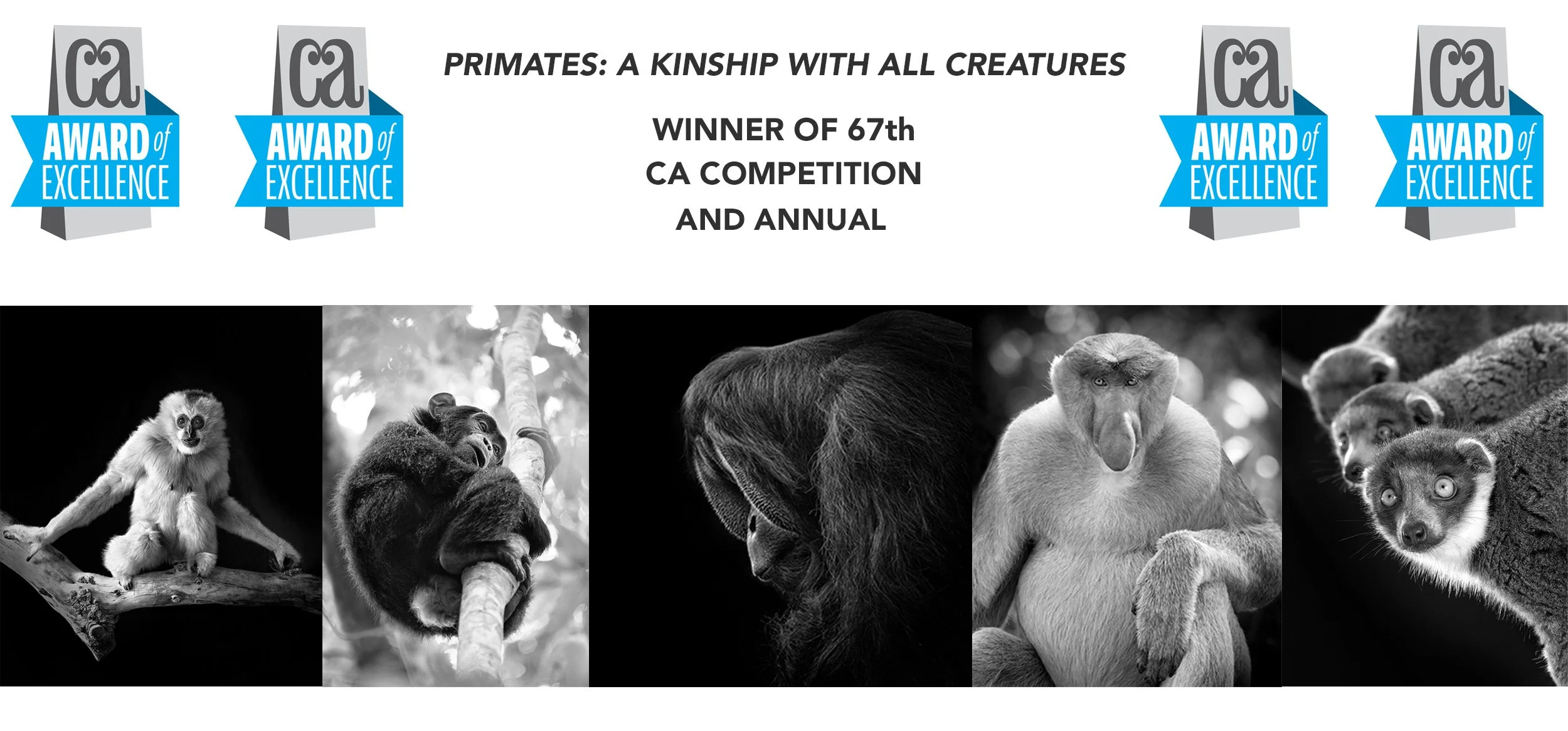 Winner of 67th CA competition and annual