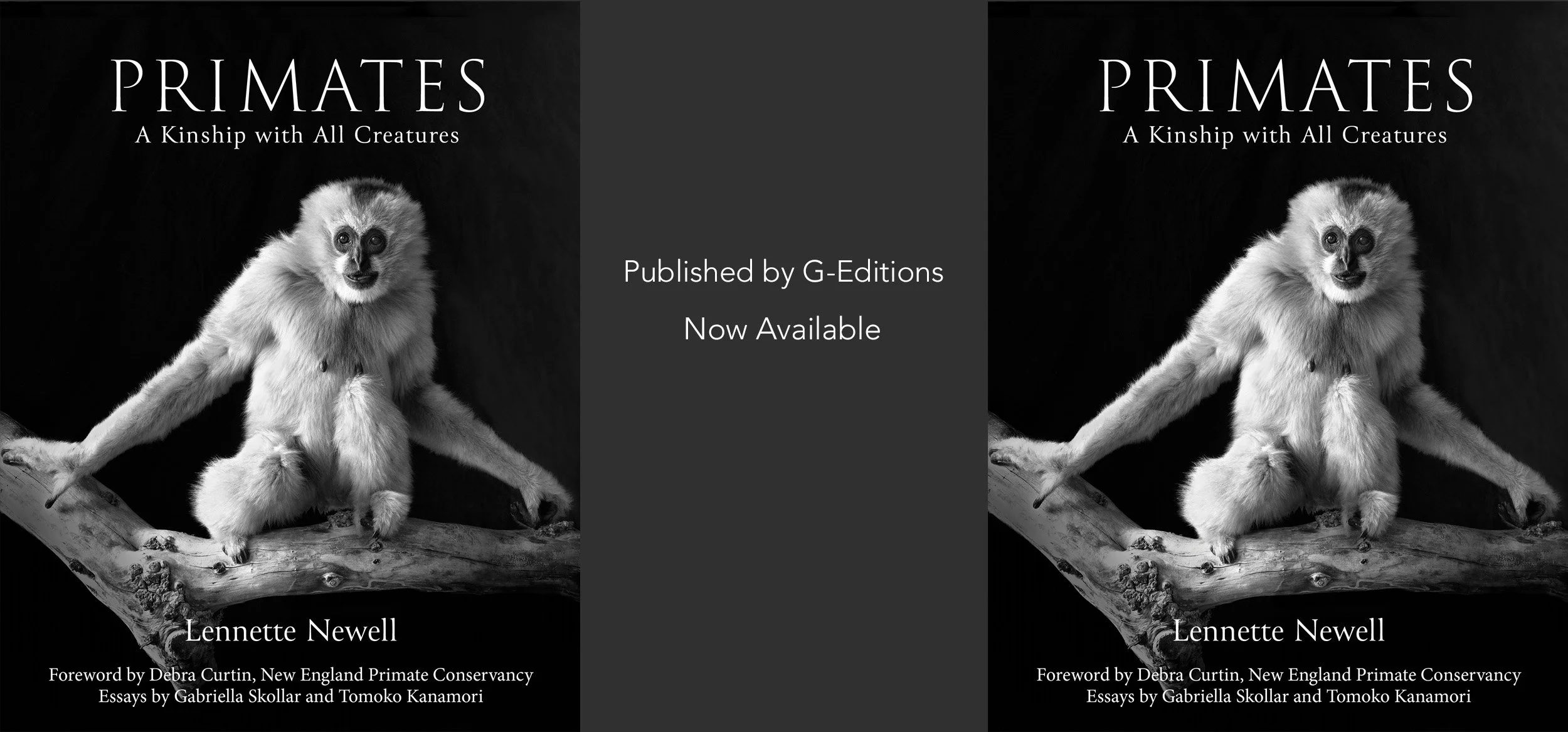 Primates-cover LennetteNewell.jpg