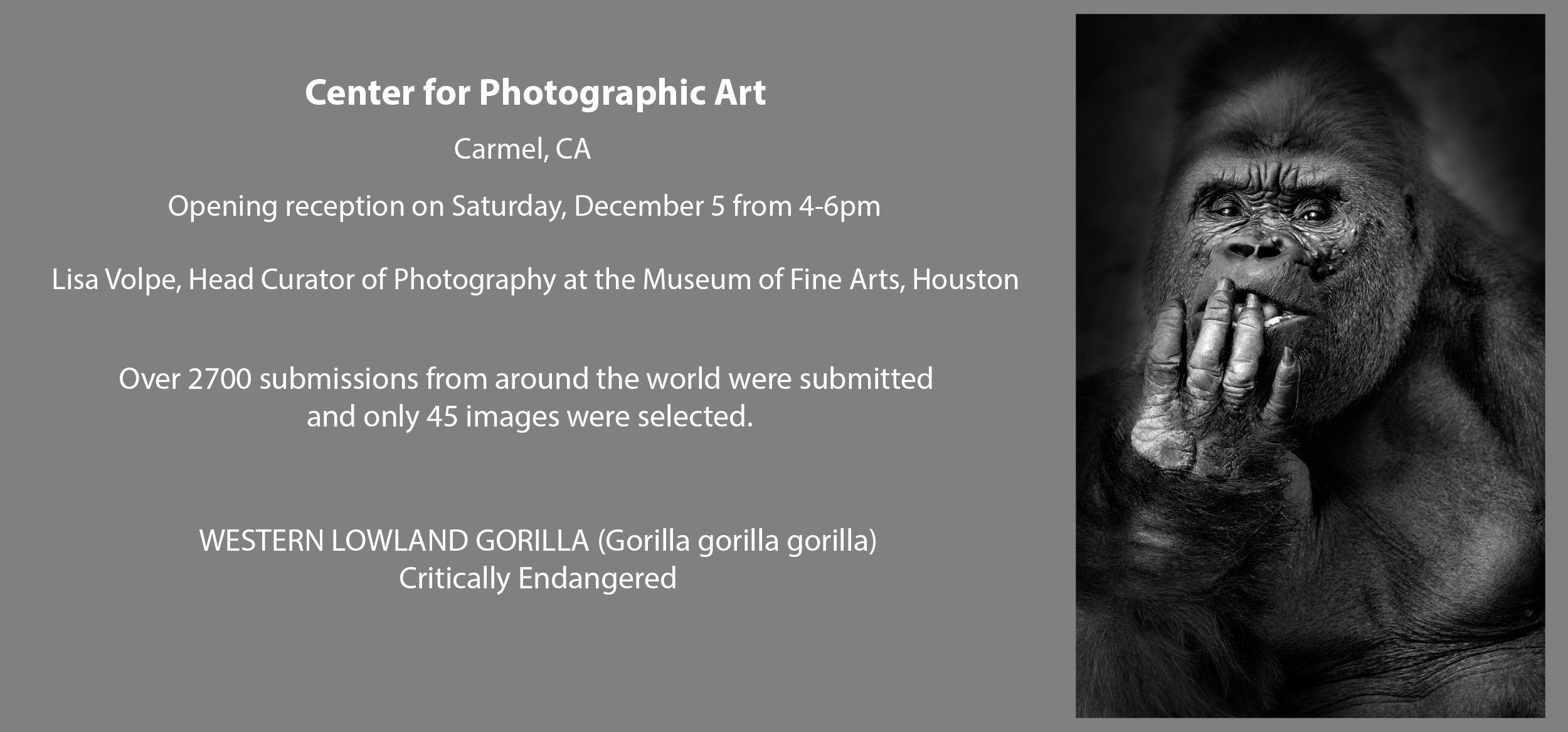 Center for Photographic Art Exhibition