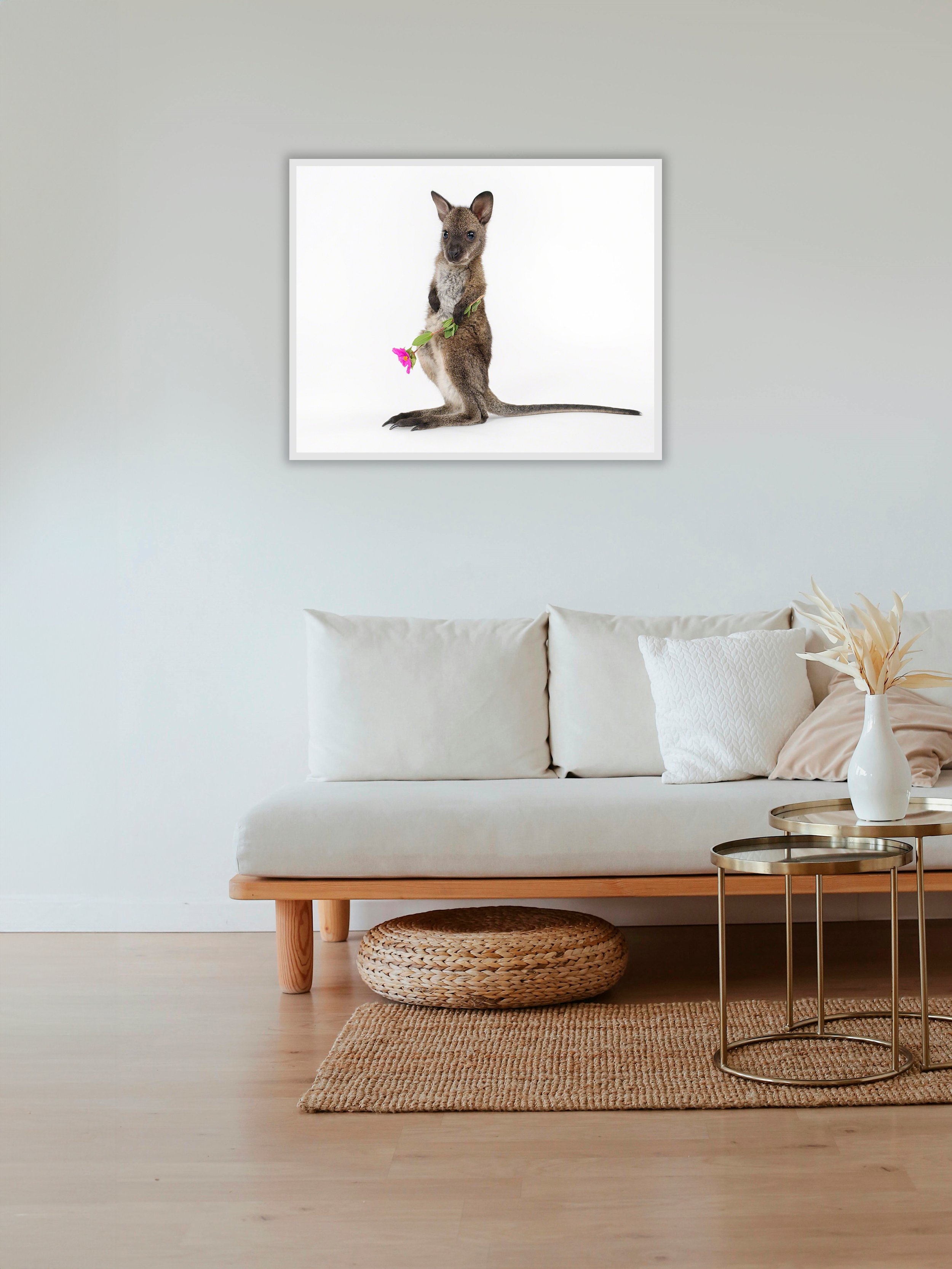 Wallaby-Study-09-1.jpg