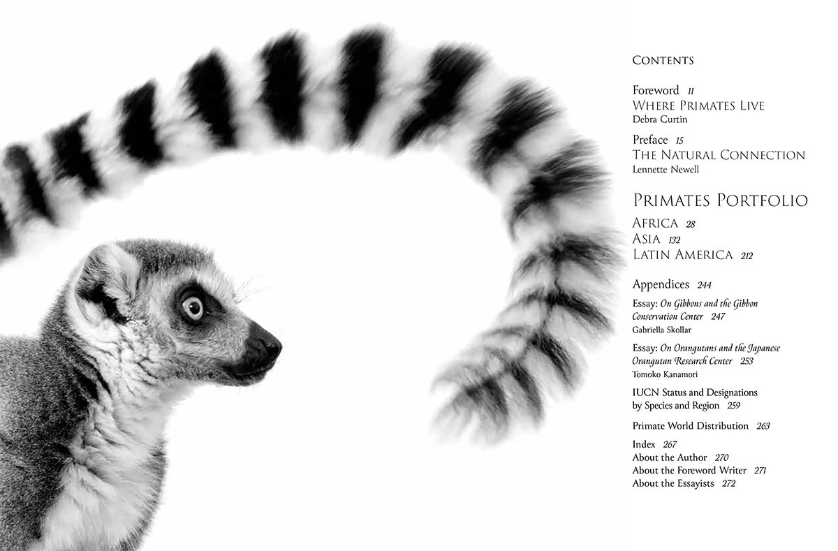 Primates: A Kinship with All Creatures Contents Spread