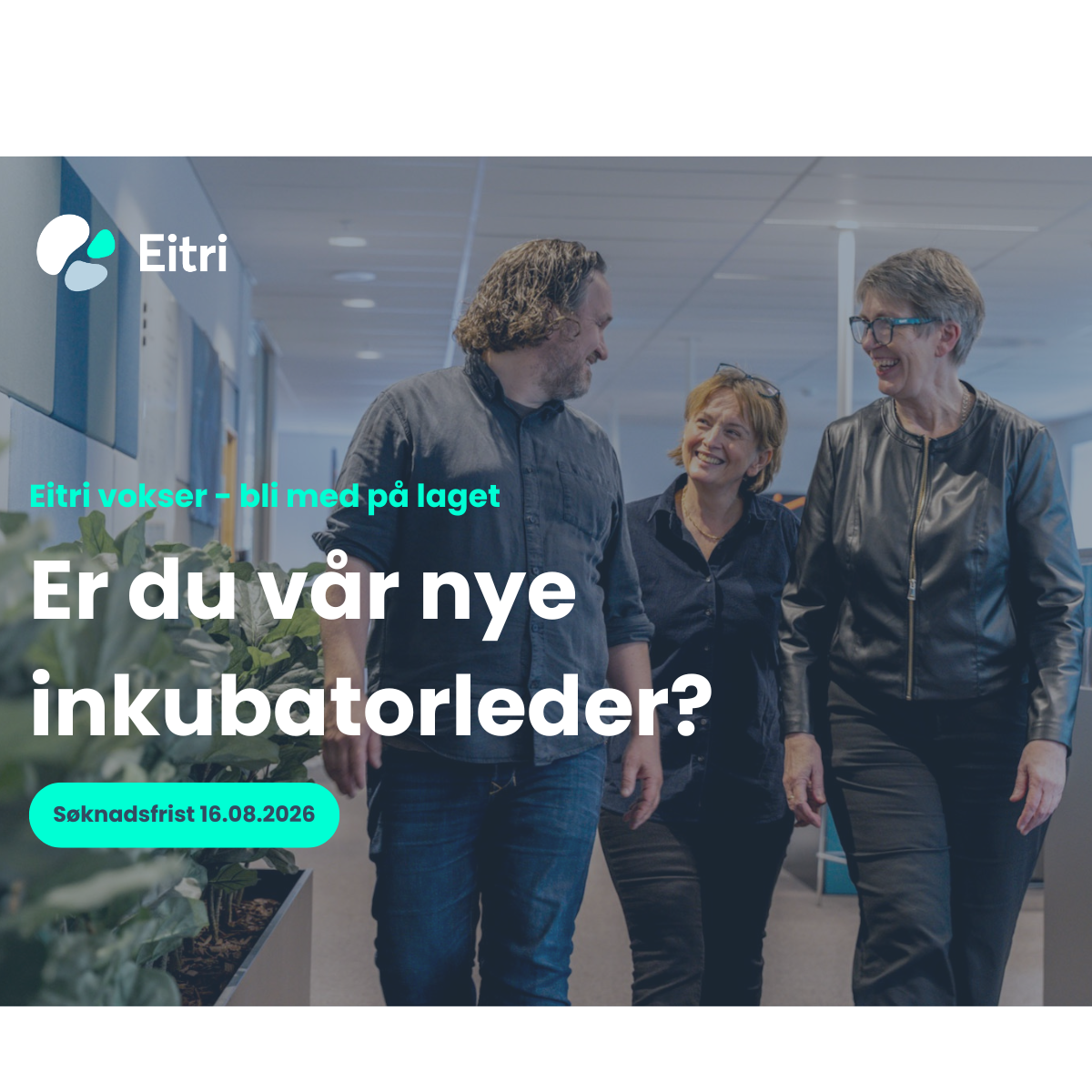 Er du vår nye inkubatorleder? 