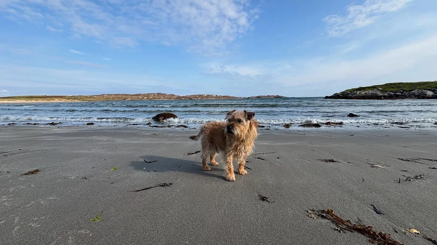 Colin&rsquo;s annual trip to his happy place (@isle_of_coll) in a few pix &hellip;
. 
1/ Beachcombing
2/ Looking for seals
3/ Rainy day
4/ Up Ben Hogh with Douglas
5/ Above Loch Hogh
6/ New pal: Sooty
7/ Jedi mind tricks
8/ Interesting jellyfish 
9/ 