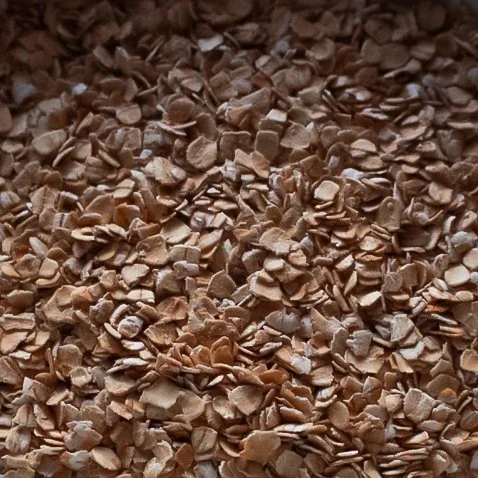 Mr. Good’s Journey 05: The Pivot Toward Health