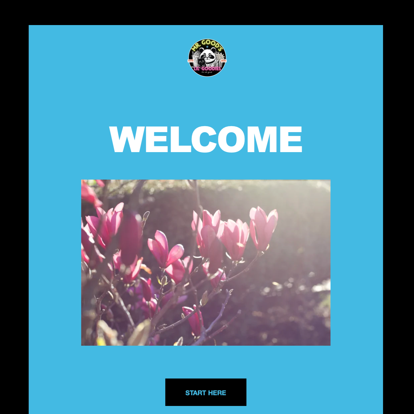 Mr. Good’s Journey 10: The First Subscriber