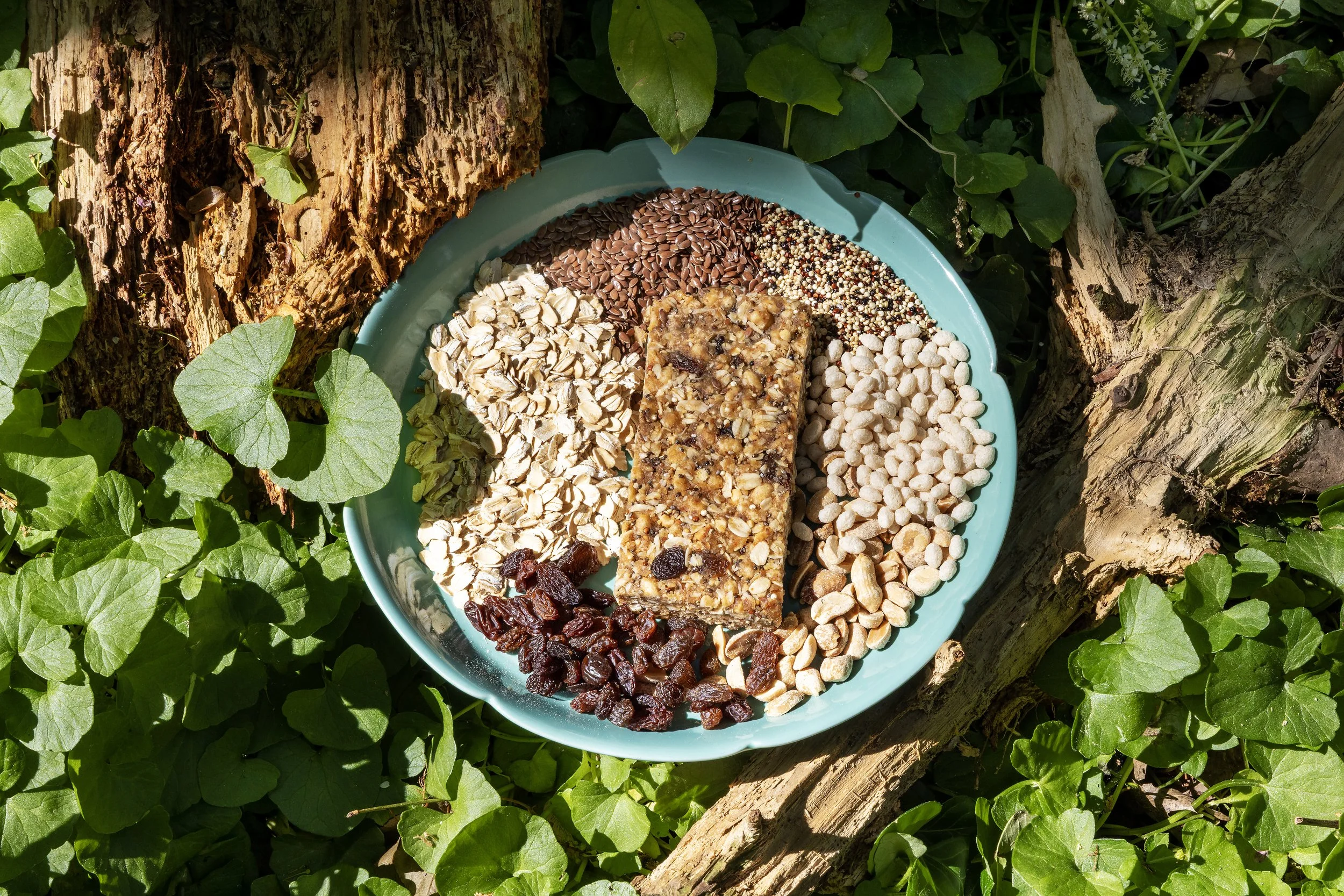 Raisins1@0.75x.jpg