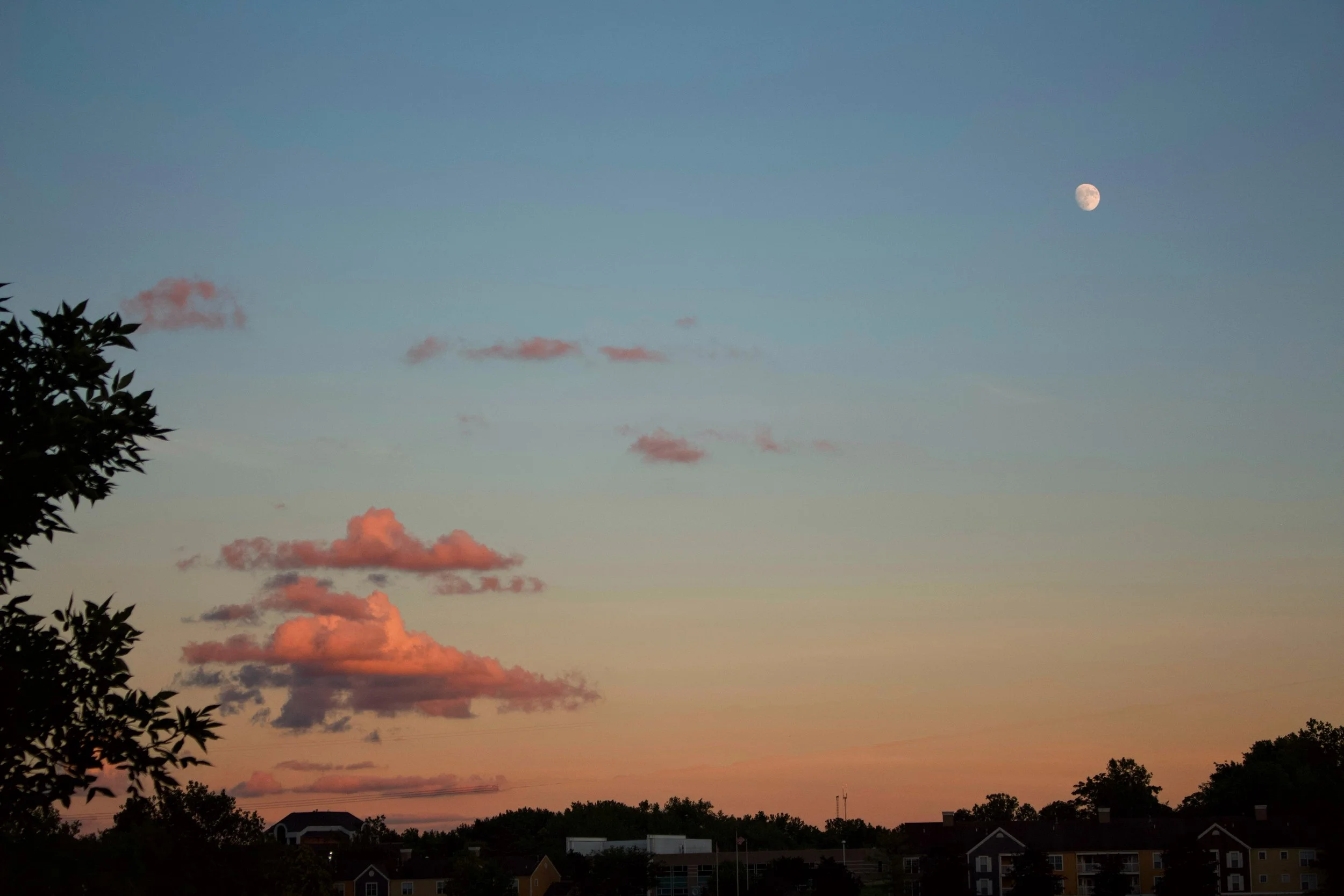 A sunset or sunrise sky with a few pink clouds and a visible moon. There are trees and houses at the bottom of the image.