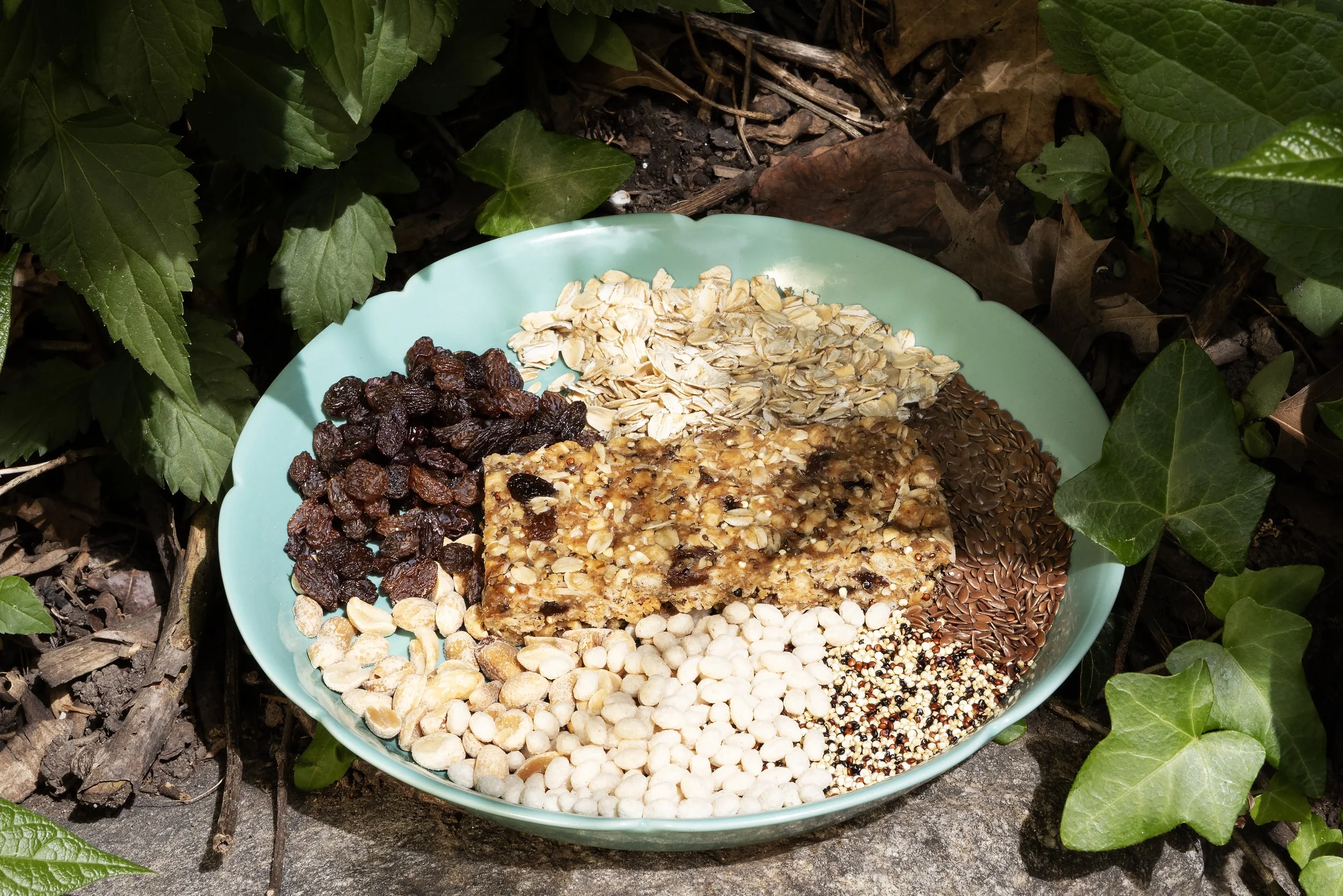4 Elements Health Bar — Raisins