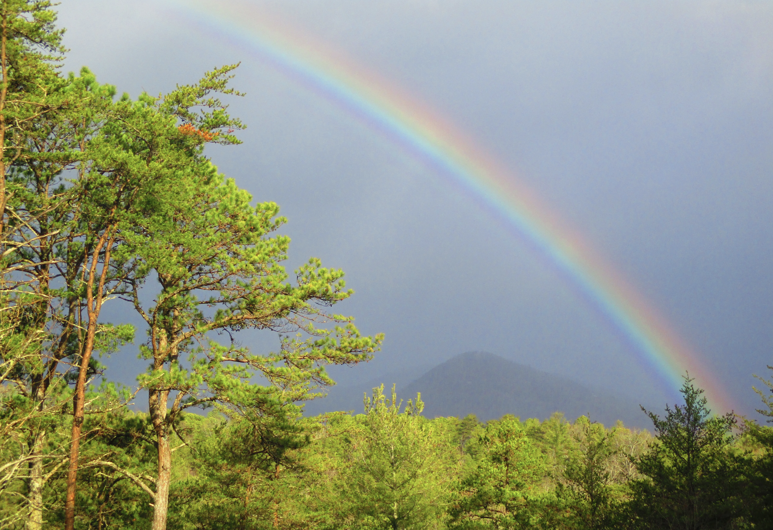 Sharon Winkler Alex Peiser KOSA Kids Online Safety Act