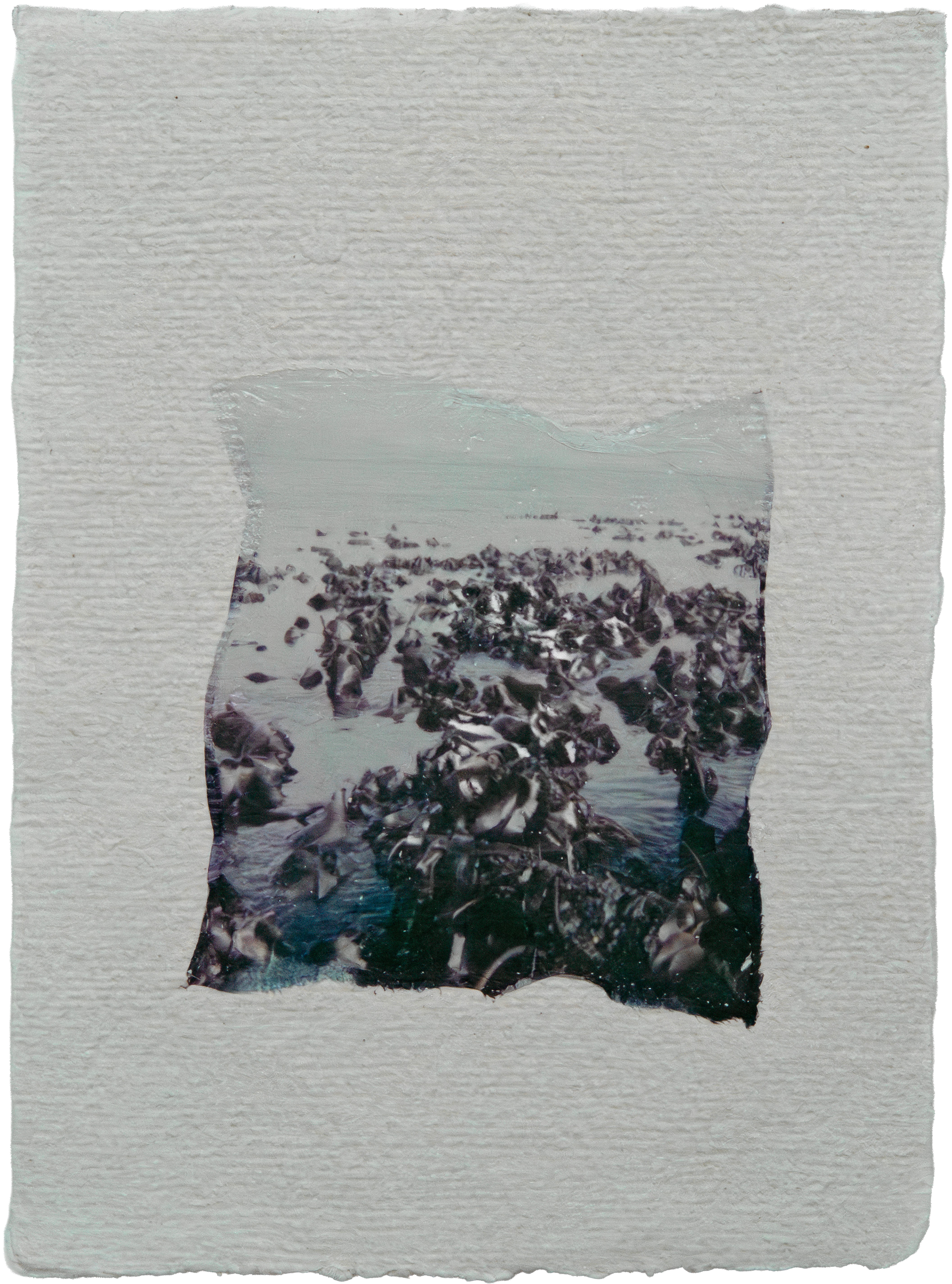 Elisa_Parrino_Mare-6jpg.jpg.png