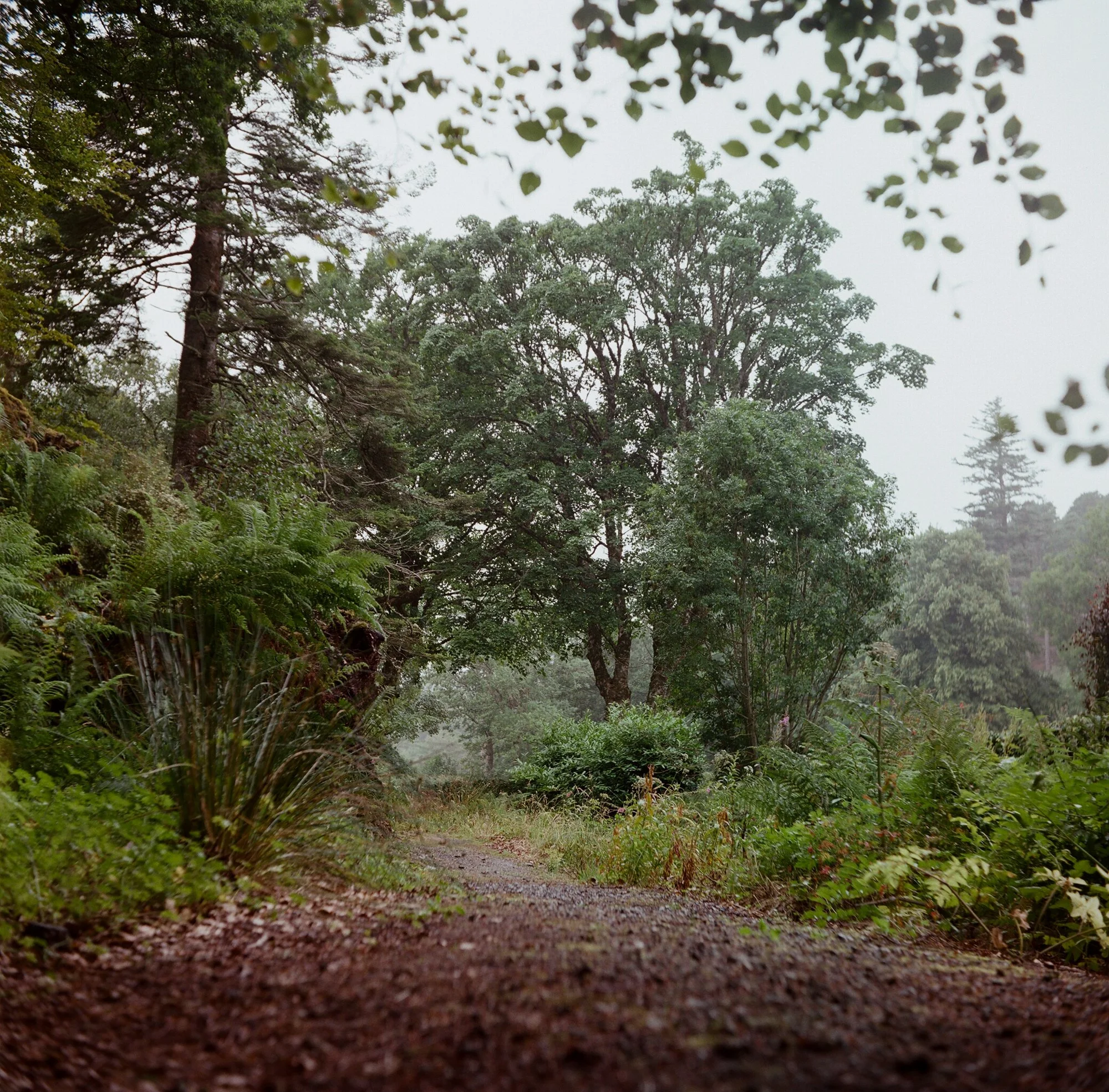 roshven_scot-11.jpg