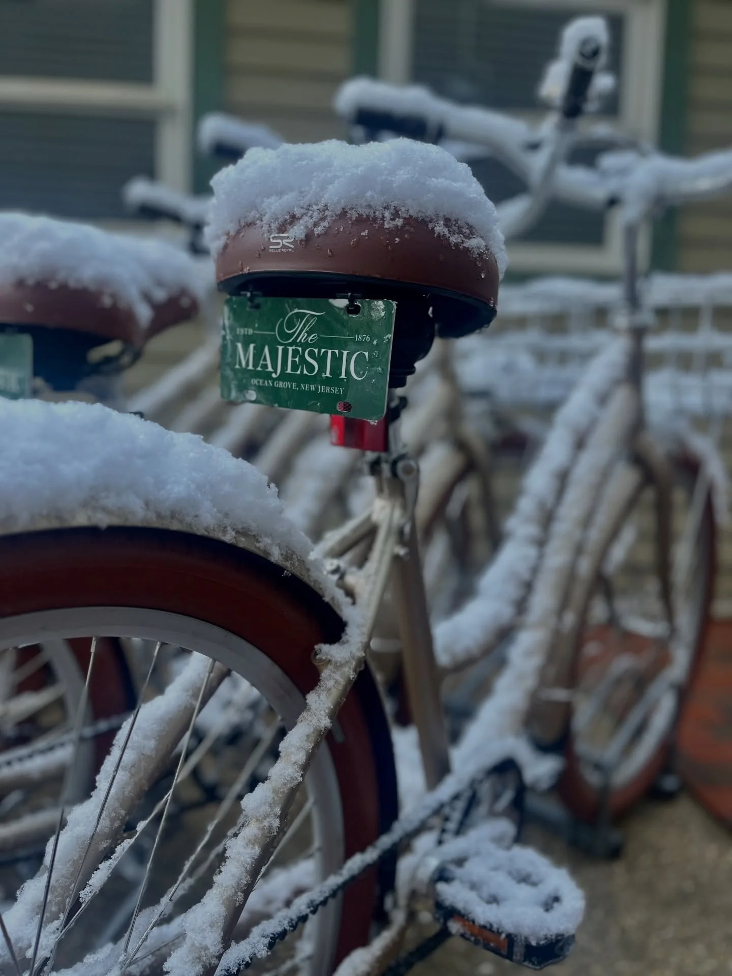 Happily snowed in. Winter has never been this charming. See you in 2026. 

📸: @aintthatthetrud