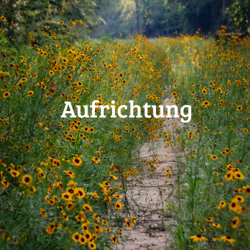 Aufrichtung