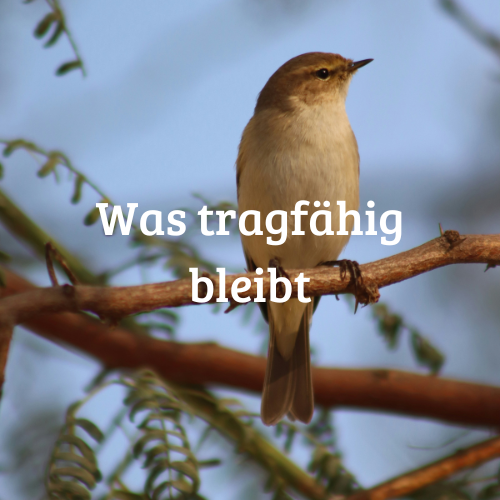 Was tragfähig bleibt