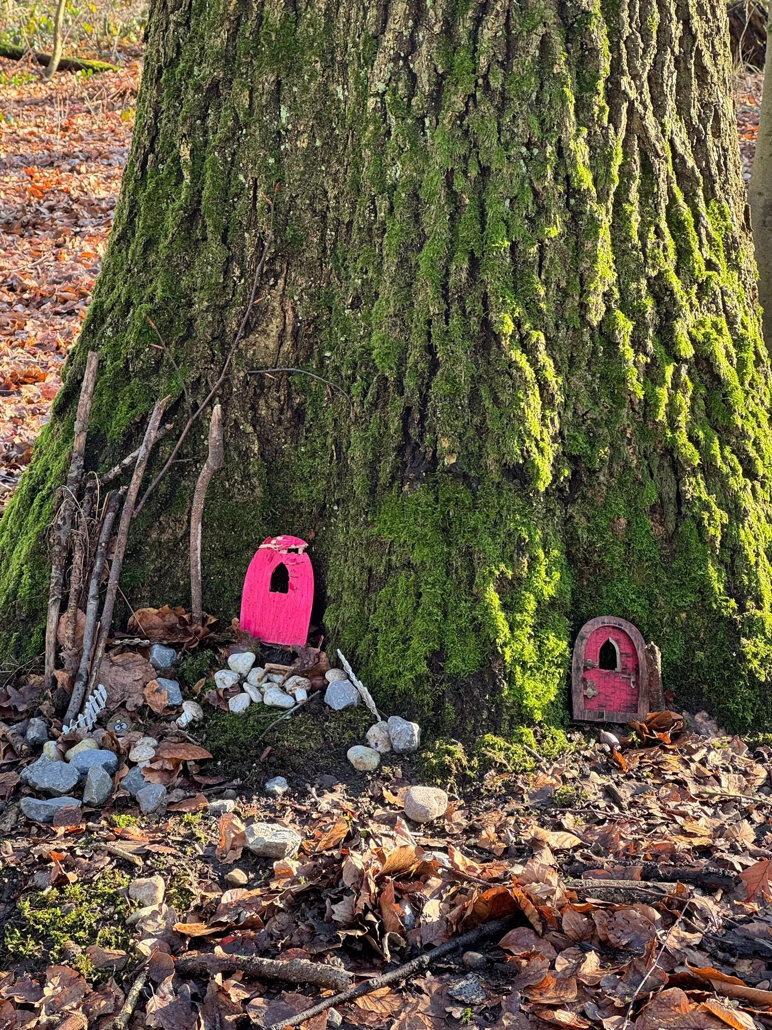 Zwei kleine rote Türen an einem moosbewachsenen Baumstamm.
