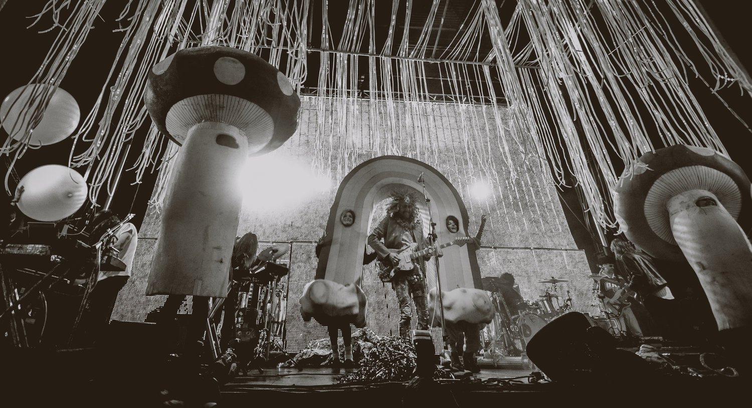 Flaming-Lips-3.jpeg