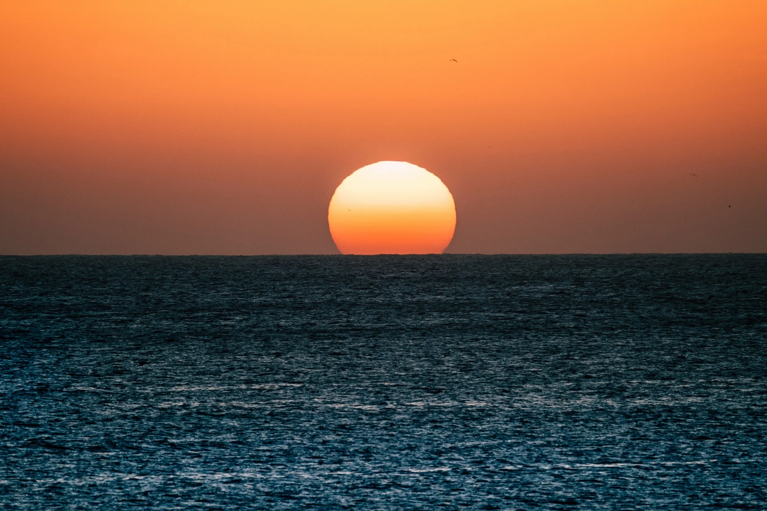 getty-images-h1HYbV4dX7E-unsplash.jpg
