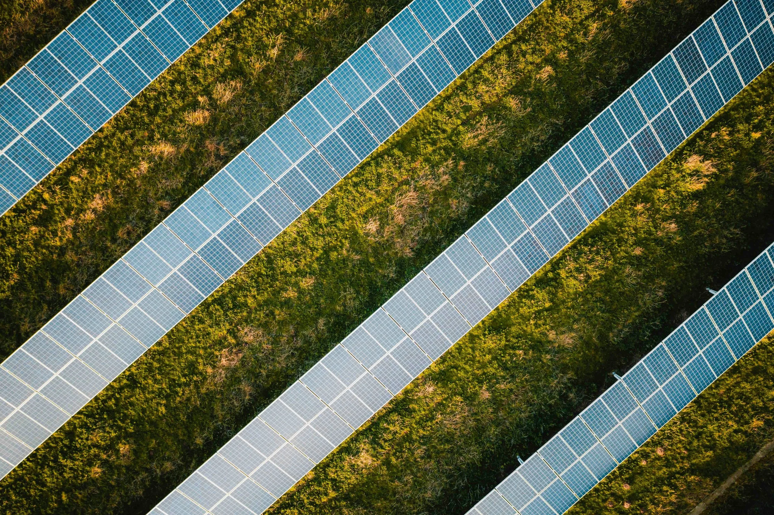 benoit-deschasaux-jVolCtV0zYI-unsplash.jpg