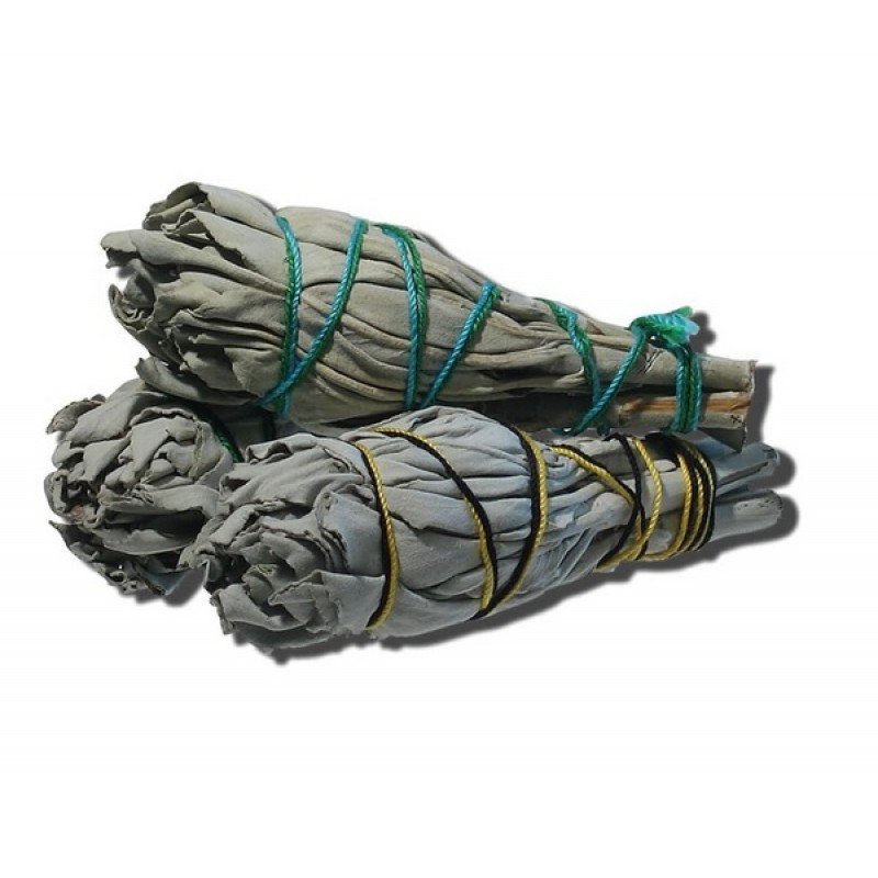 Sage Torch