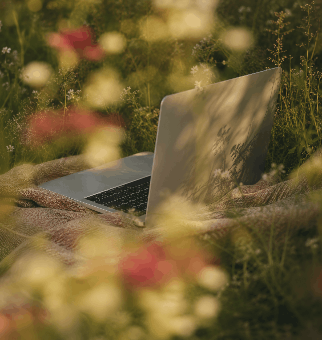 MacBook laptop on a blanket in a wildflower meadow, representing a thoughtful and creative brand and website design process.