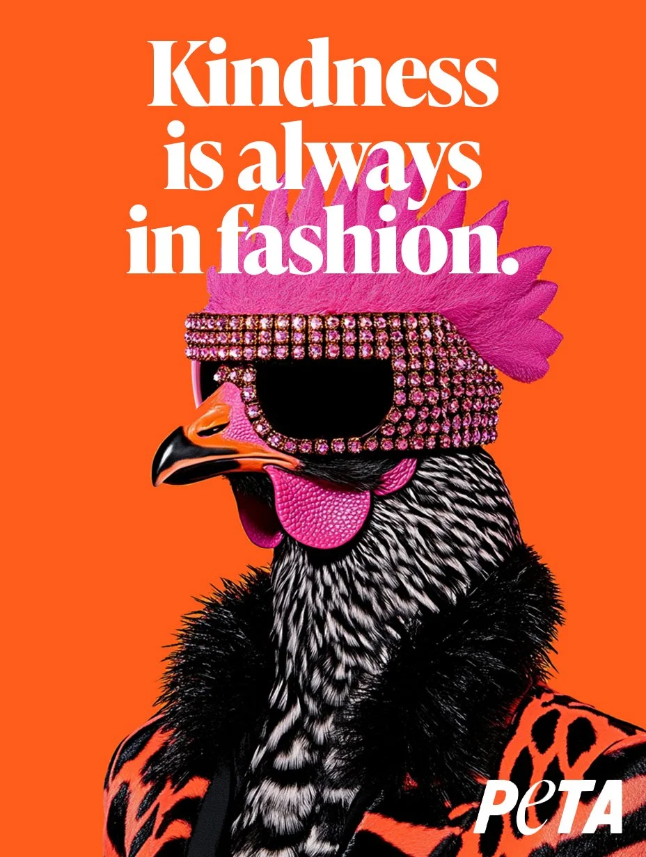 Peta Concept Design — Shannon Alexandra Design