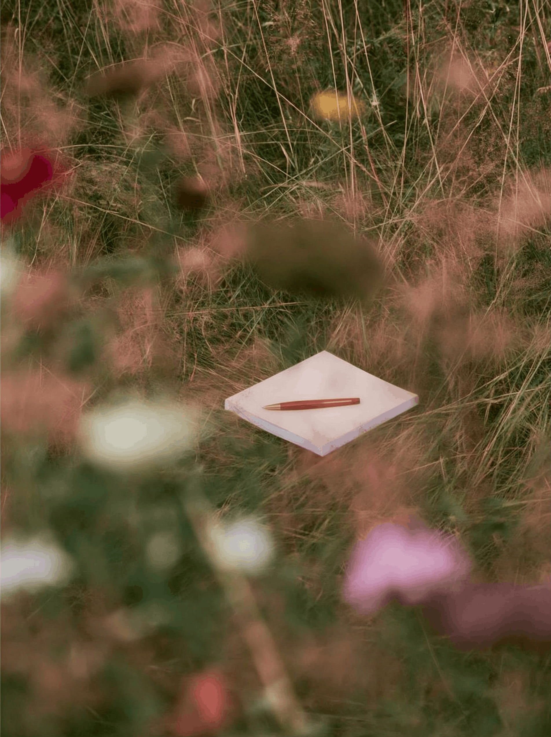 Notebook and pencil resting in a meadow, representing brand strategy, discovery and creative planning before the design process begins.
