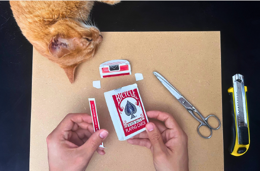 Captura de pantalla 2026-01-01 115202.png