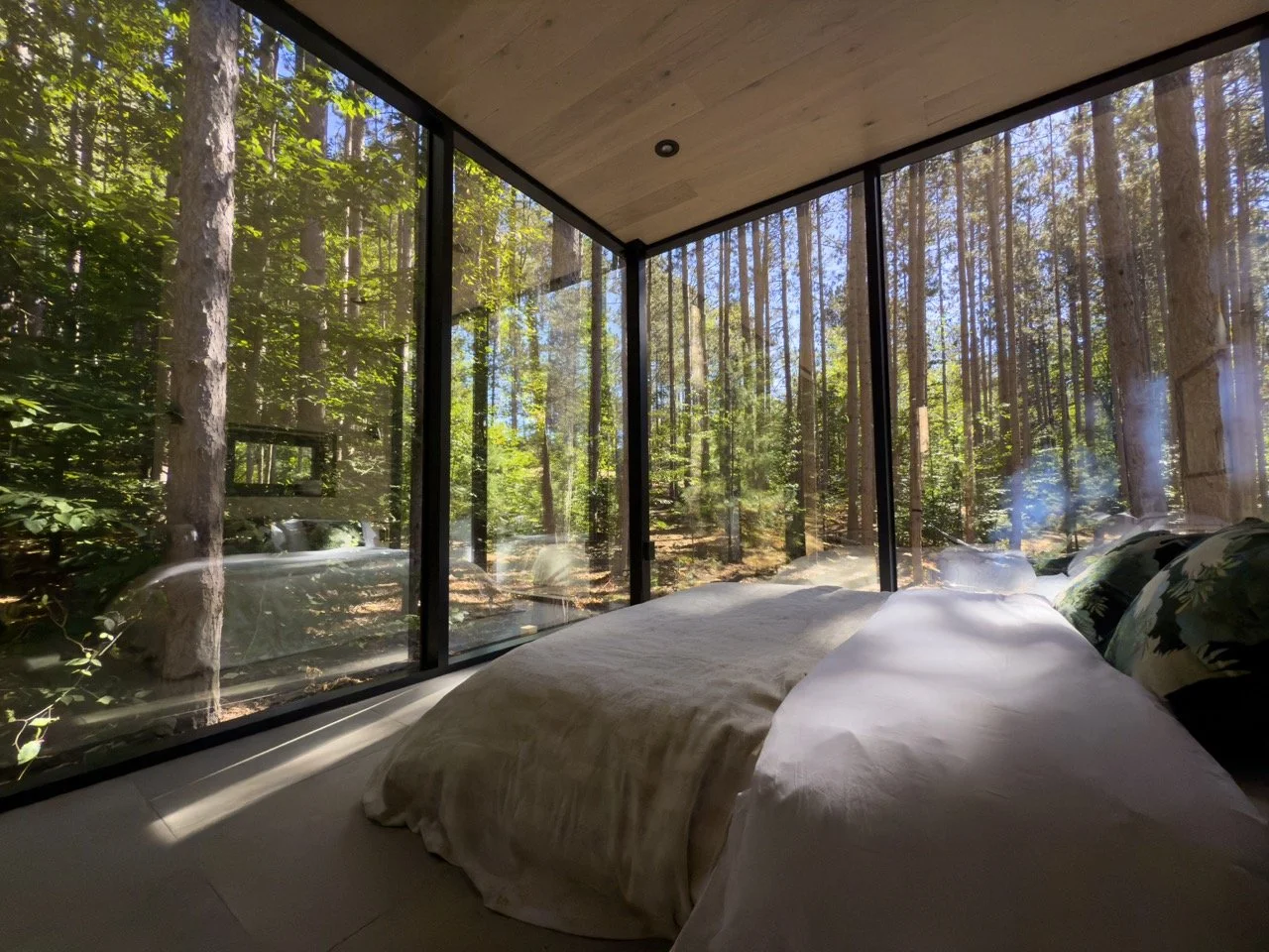 BEDROOM_MORNING SUN_IMG_6178 Large.jpeg